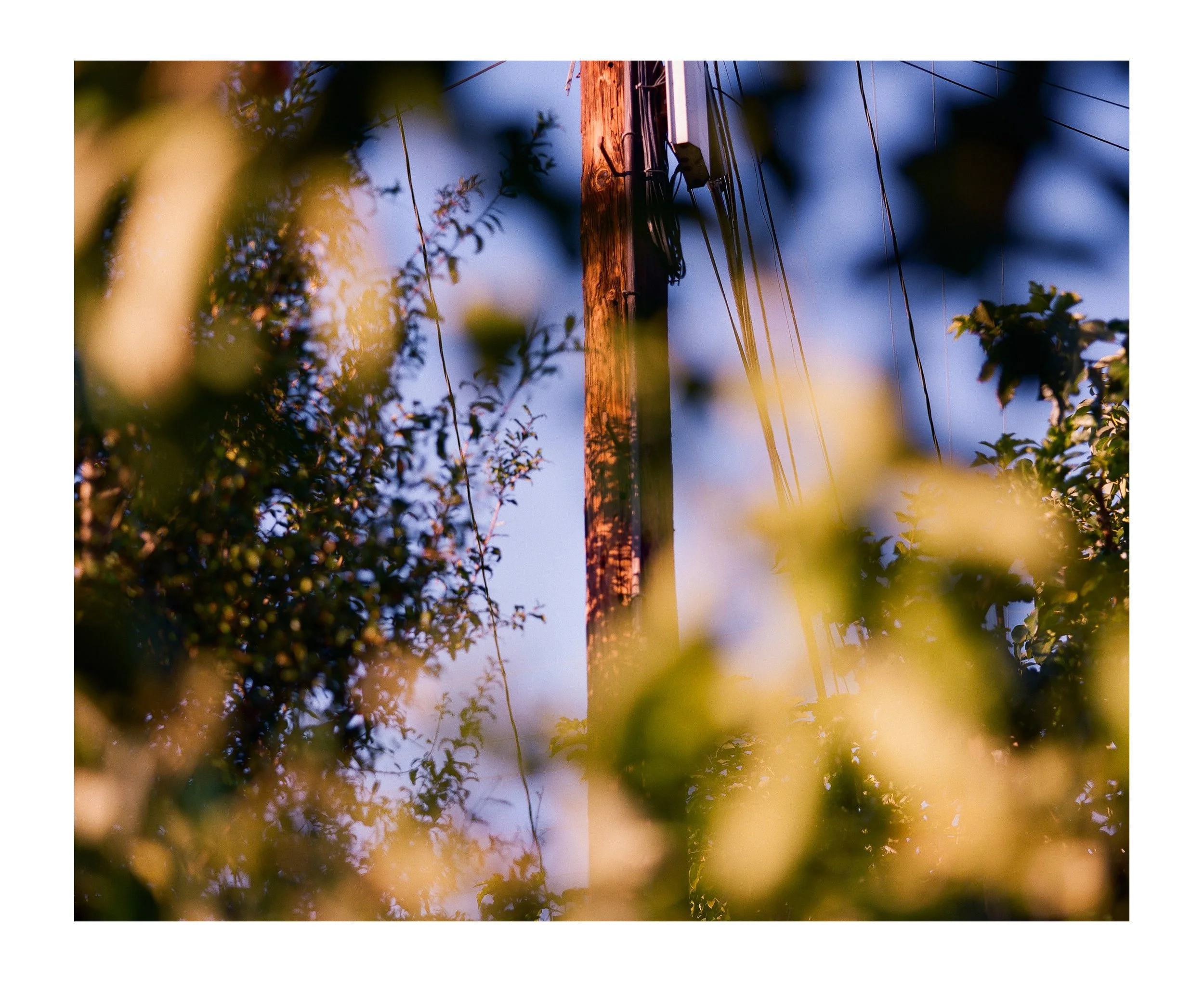 Double Frames 17 insta copy.jpg