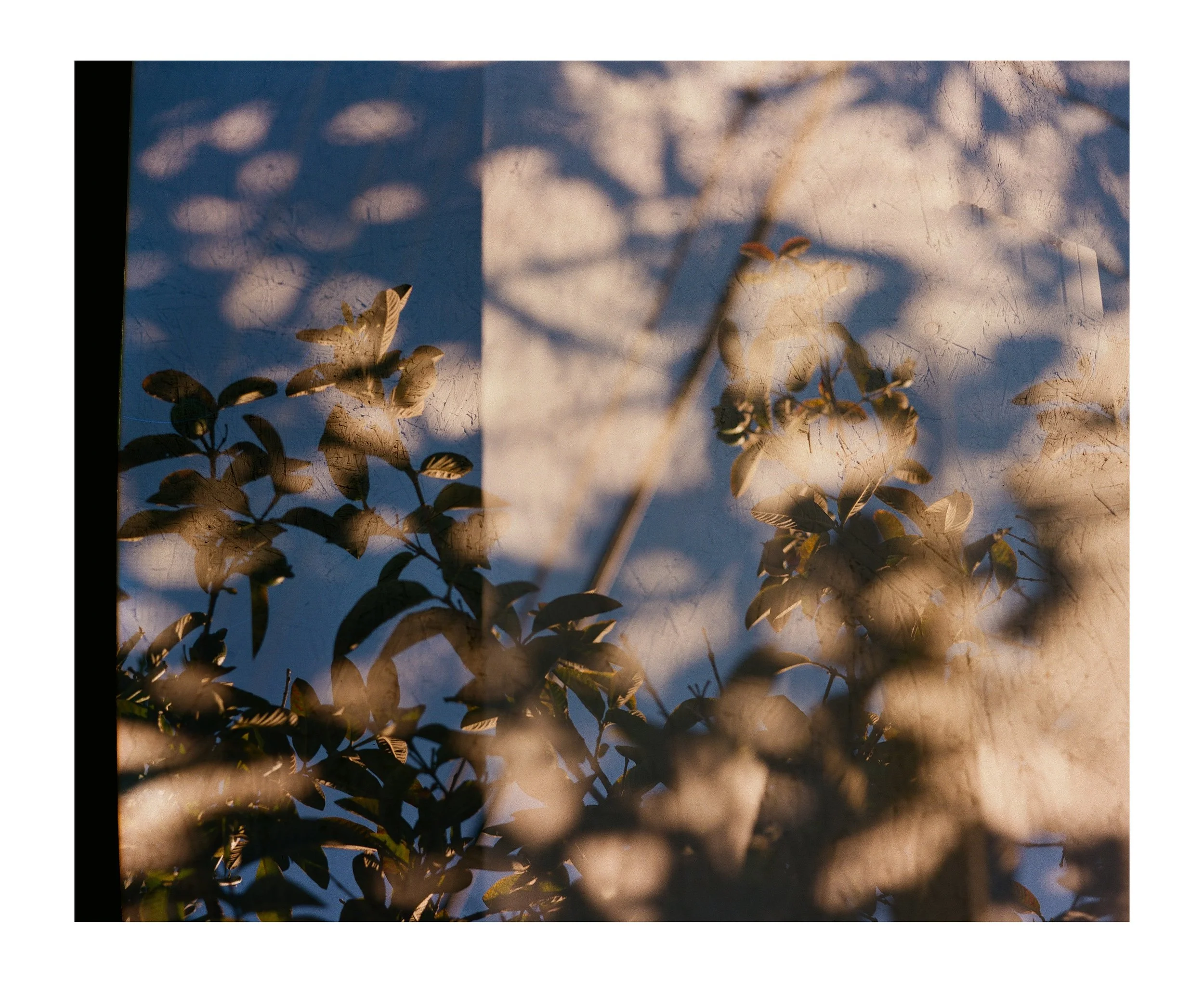 Double Frames 19 insta copy.jpg