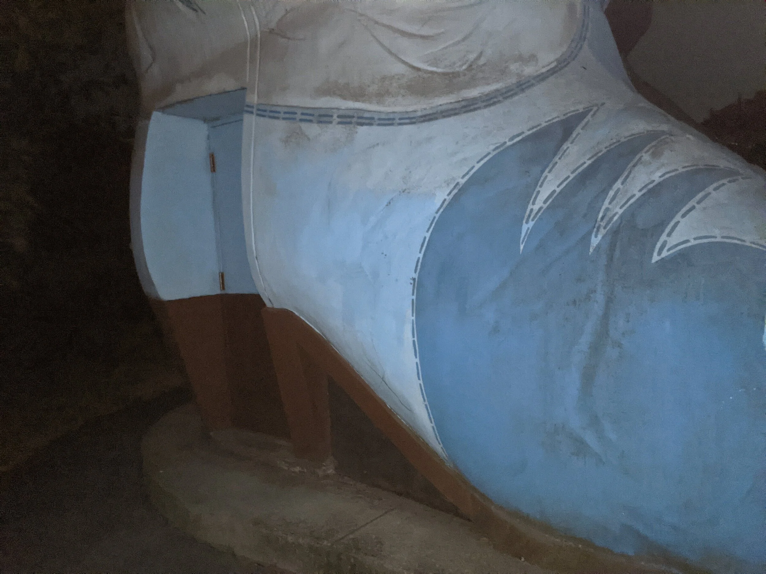 PXL_20210727_062250255.jpg