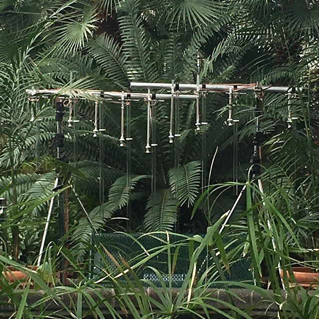 Archways a collaboration with @jimwmurphy for @ensemble_mechatronic is installed in the Begonia House at the Wellington Botanical Gardens this weekend. Open 9-5 till Sunday. Come have a little 👀 #gardenart