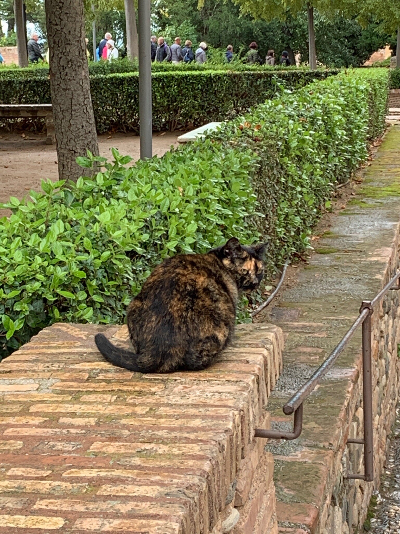 IMG_0082.jpeg