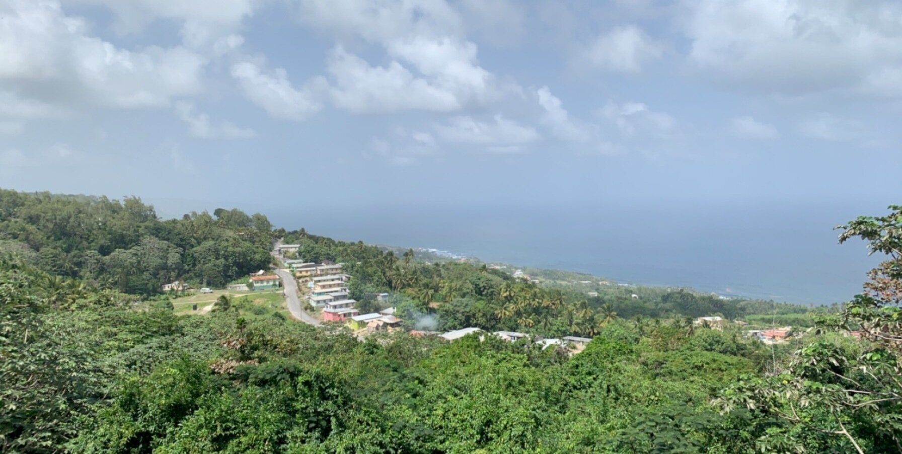 IMG_9787.jpeg