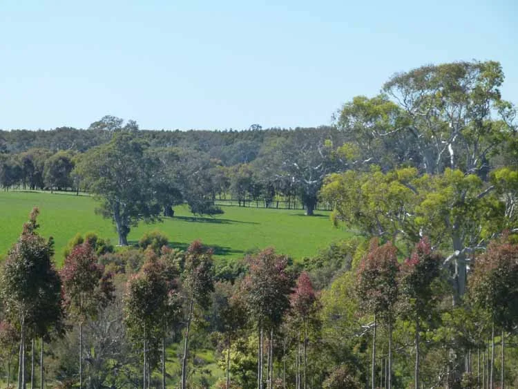 Forest Dam, Autumn 2014 5.JPG