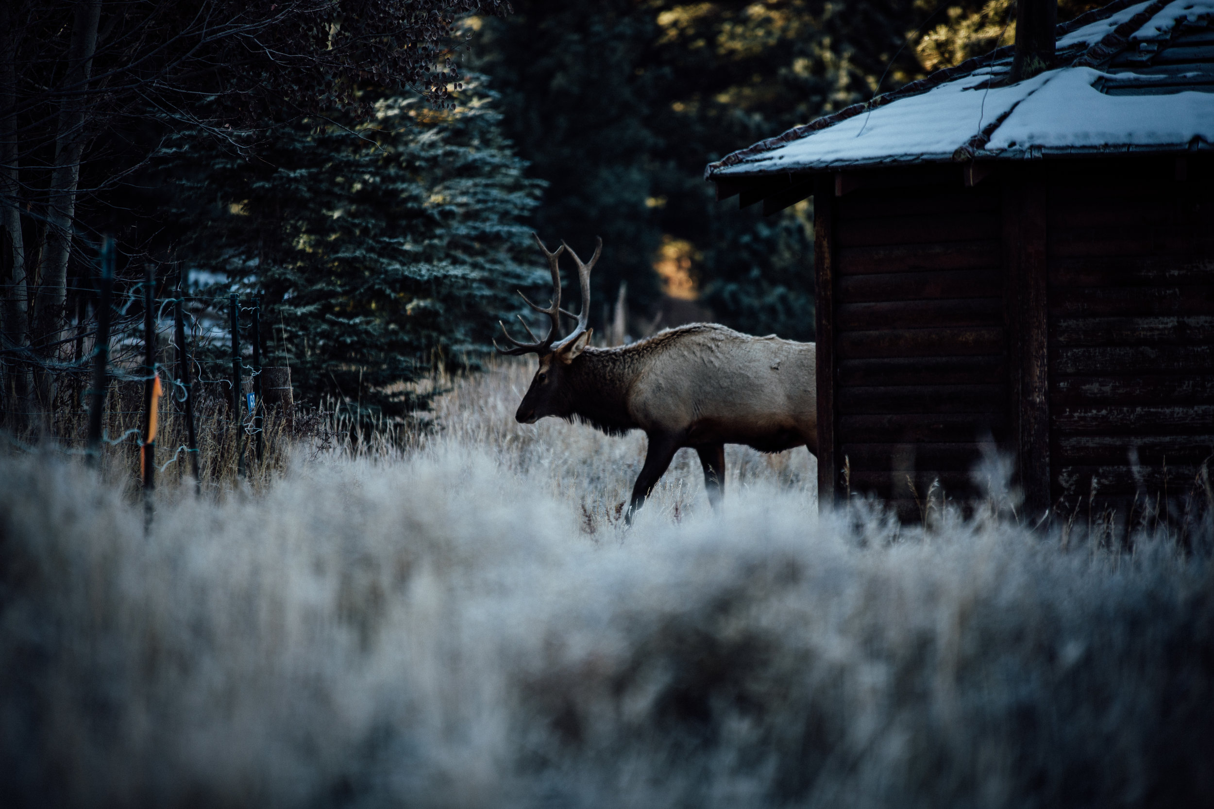 Solitude-Cabins-5622.jpg