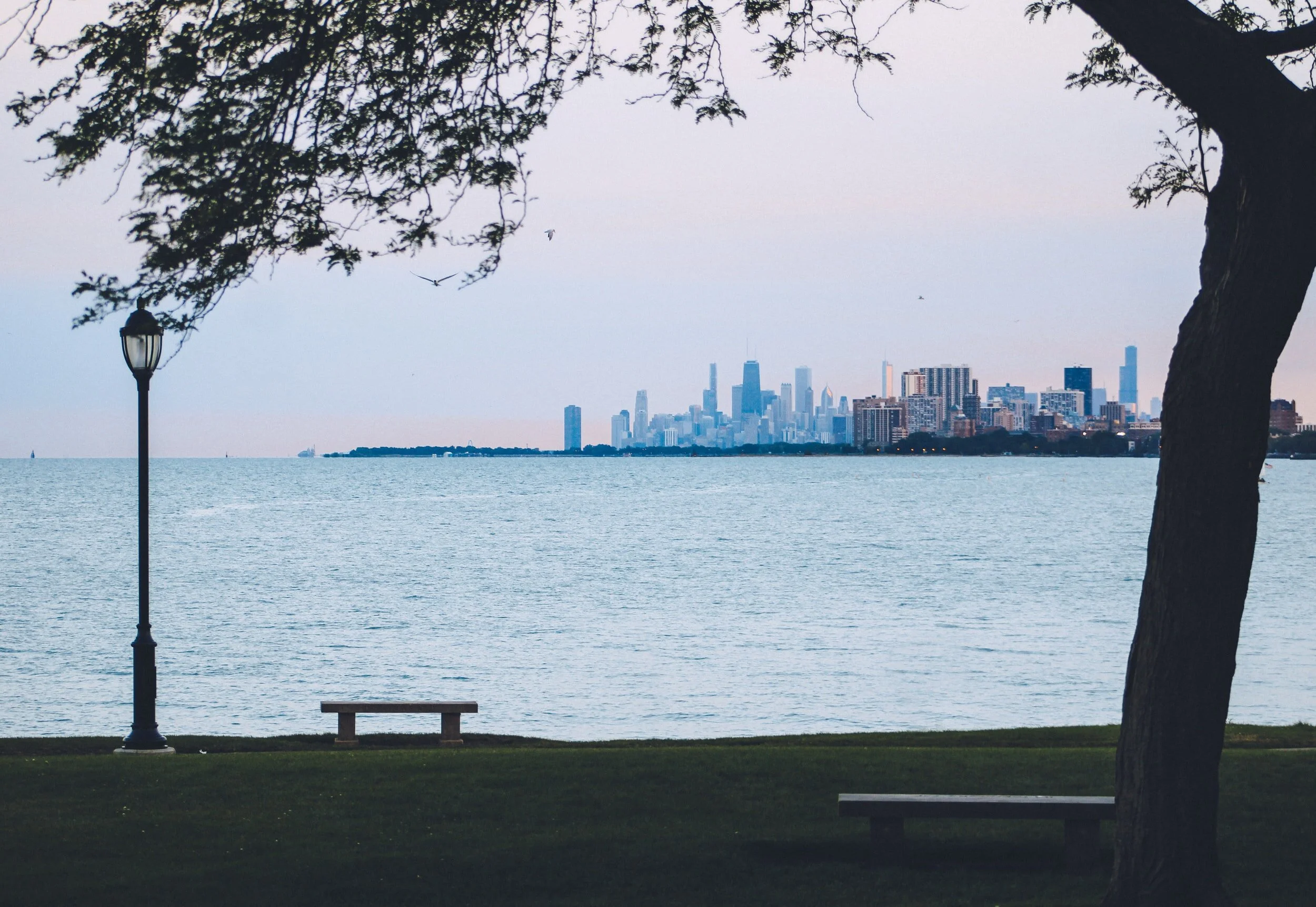 Mr. Phillips Goes To Greensboro