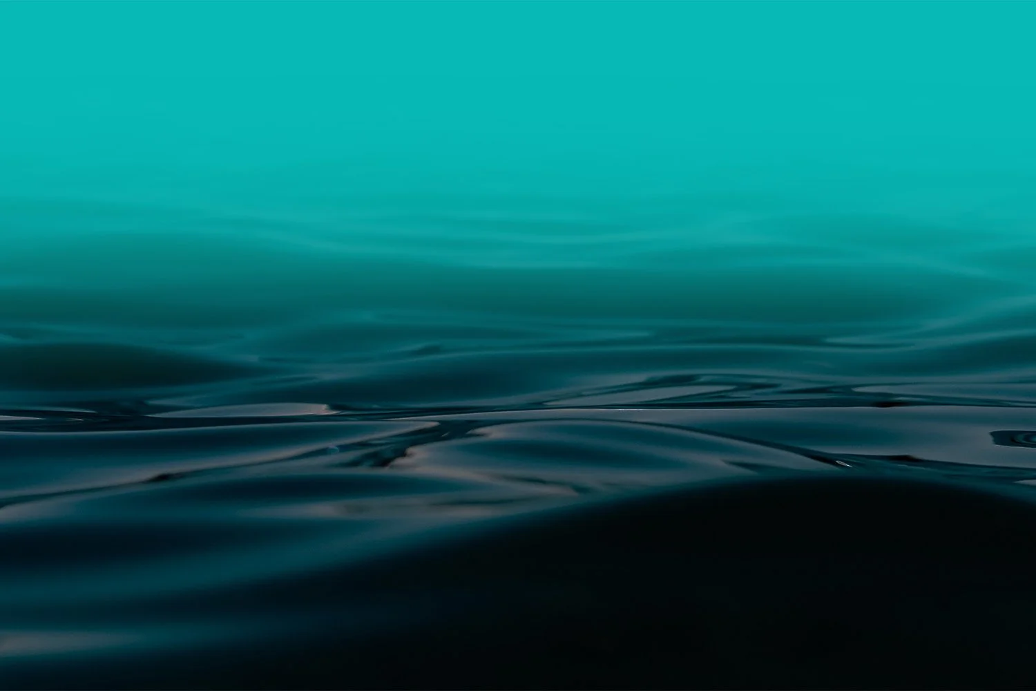 blank green banner water fade.jpg