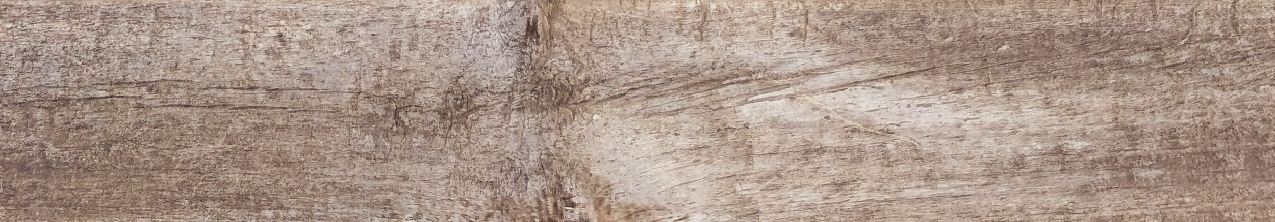 treebark_ttexture.jpg
