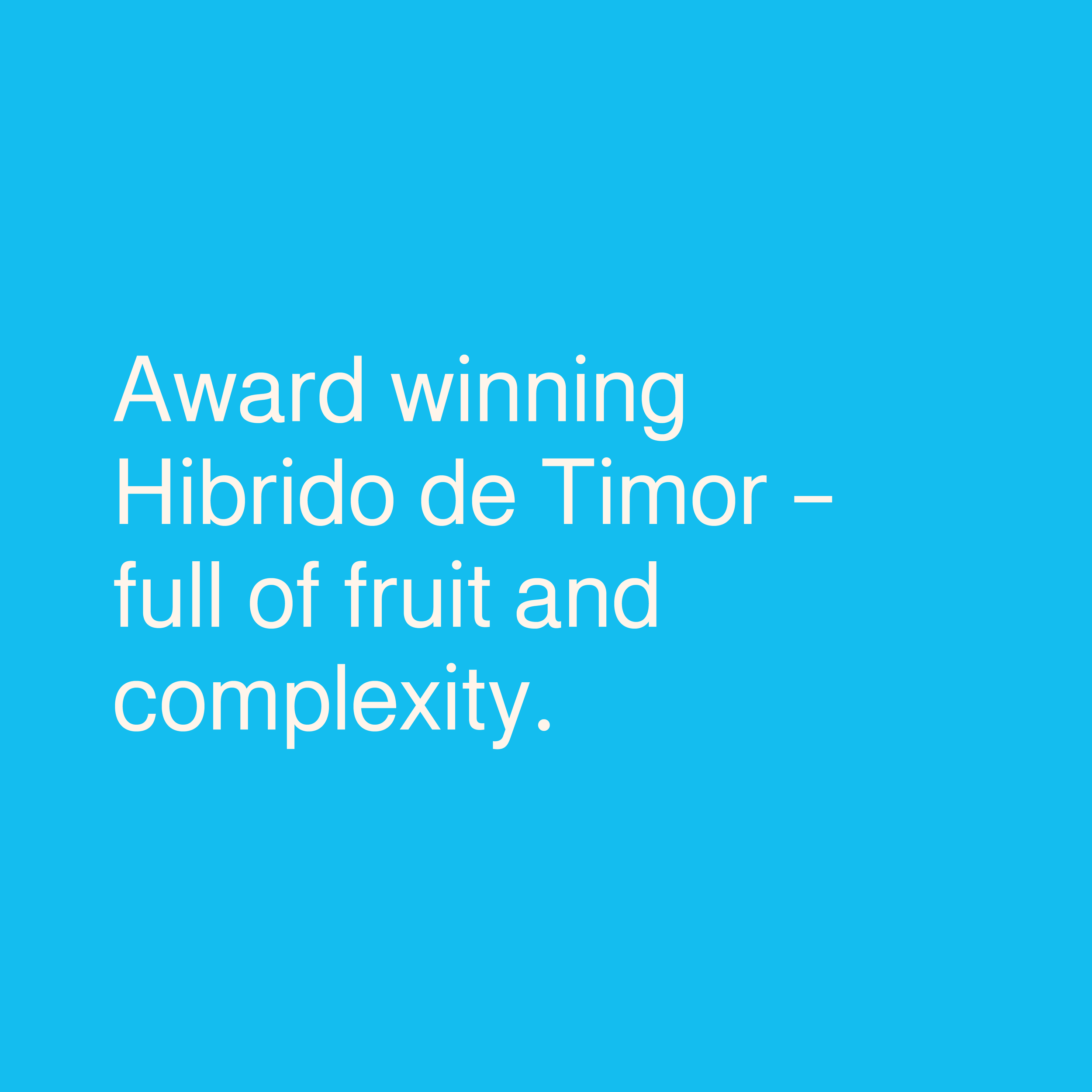 Product-text_Hibrido-de-Timor_Hibrido de Timor.png