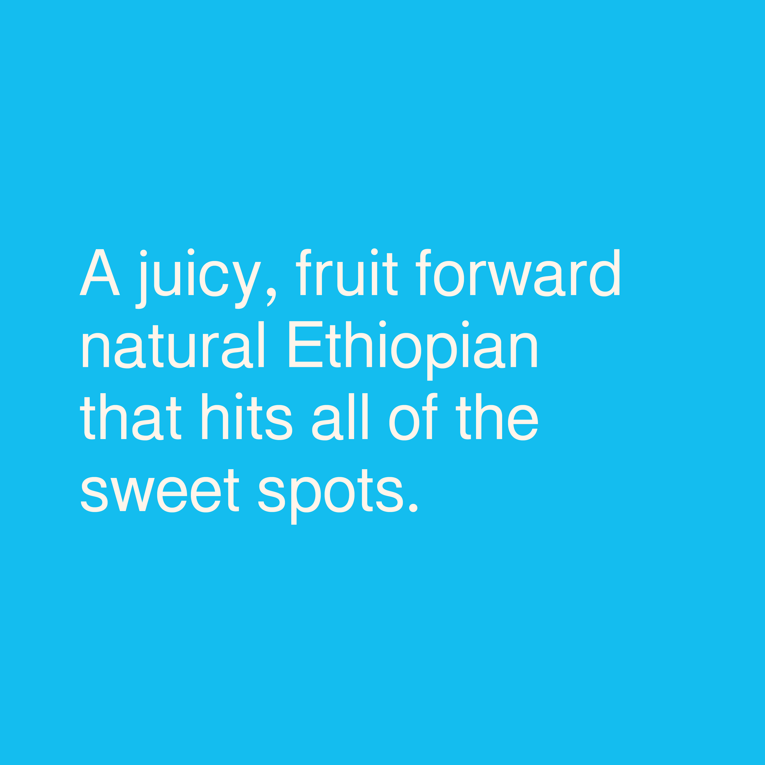 Product-text_Chelbesa_Ethiopia_Chelbesa Ethiopia.png