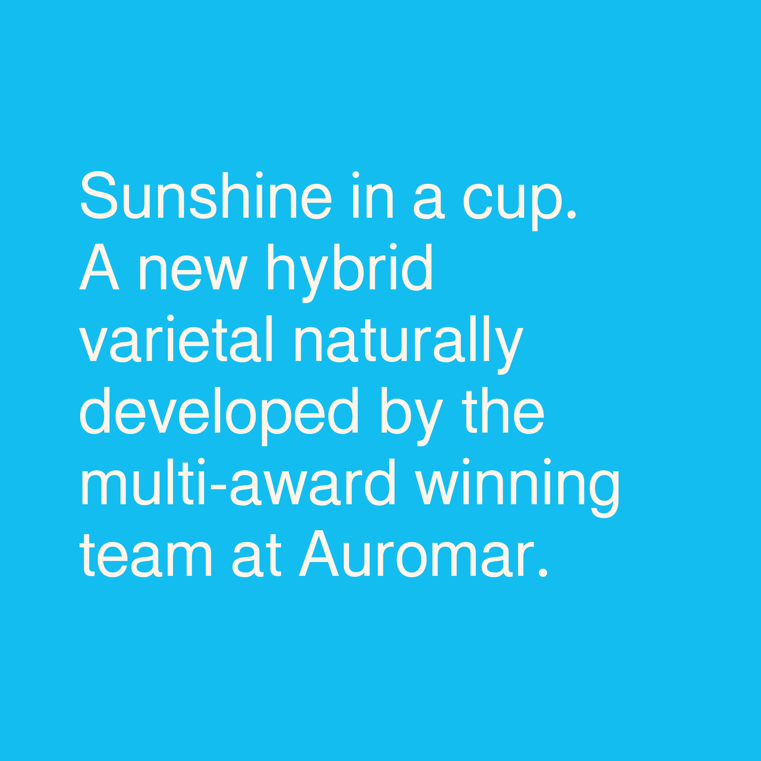 Product-text_Auromar_Auromar Panama.png