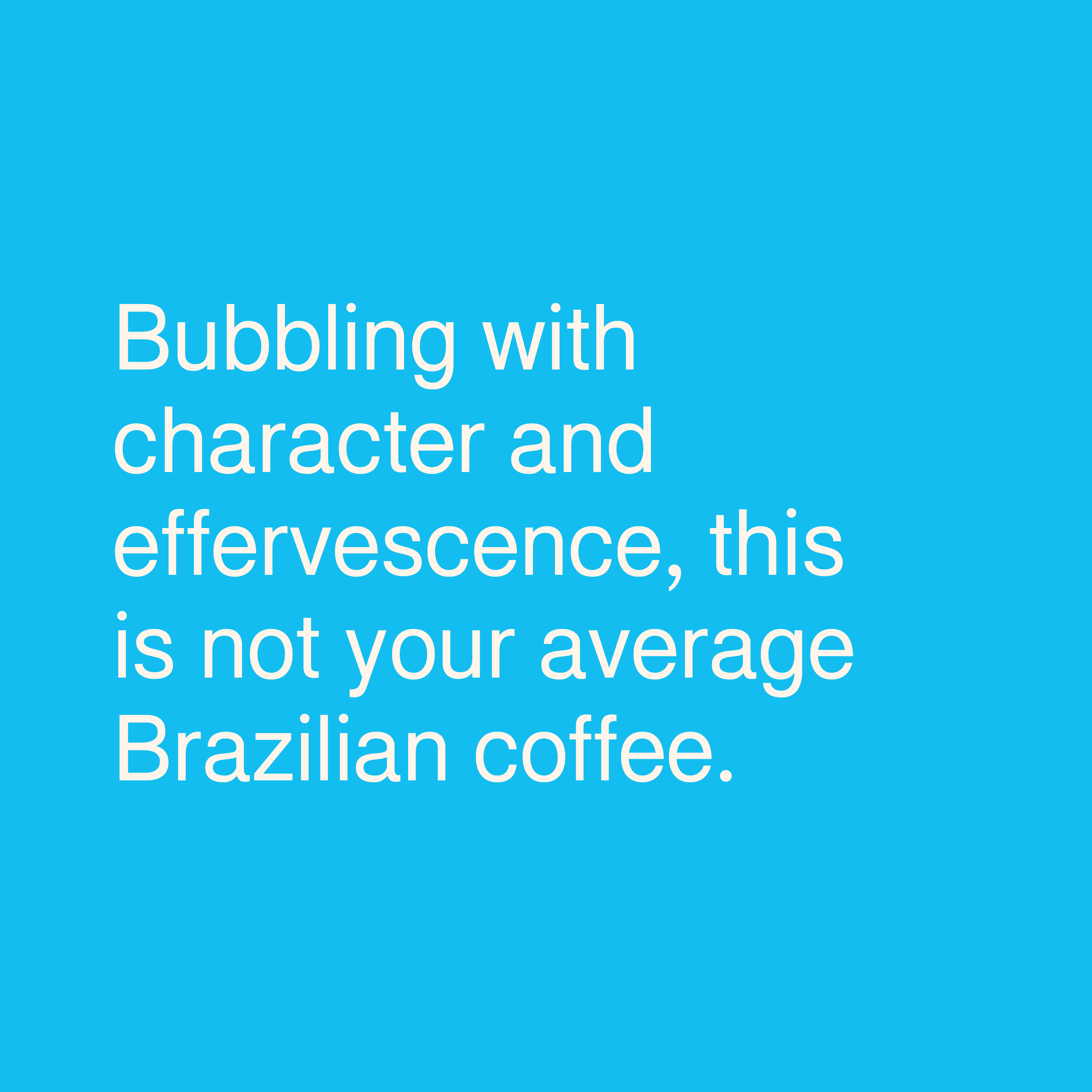 Product-text_Santa Monica Brazil_Santa Monica Brazil.png