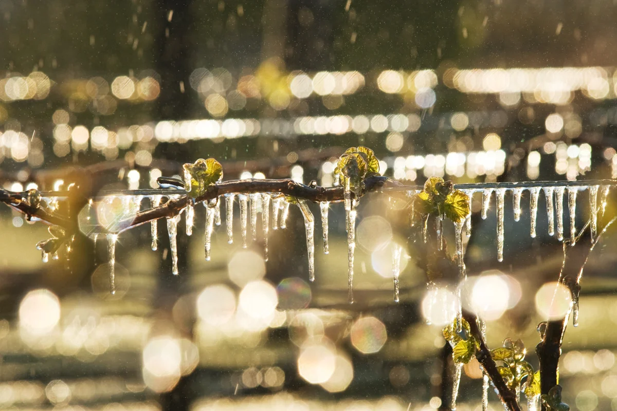 What’s up with the weather?