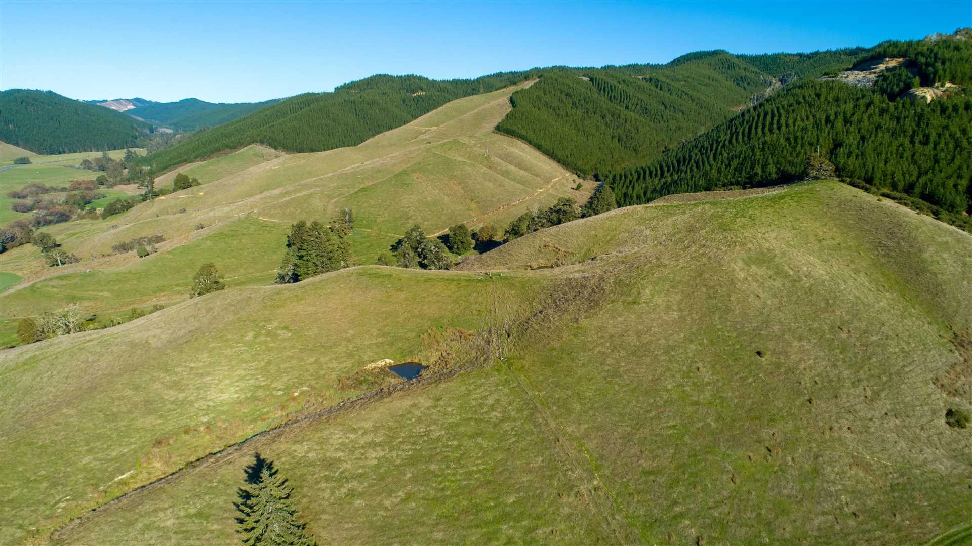 586-NN23767-Tasman-District.jpg