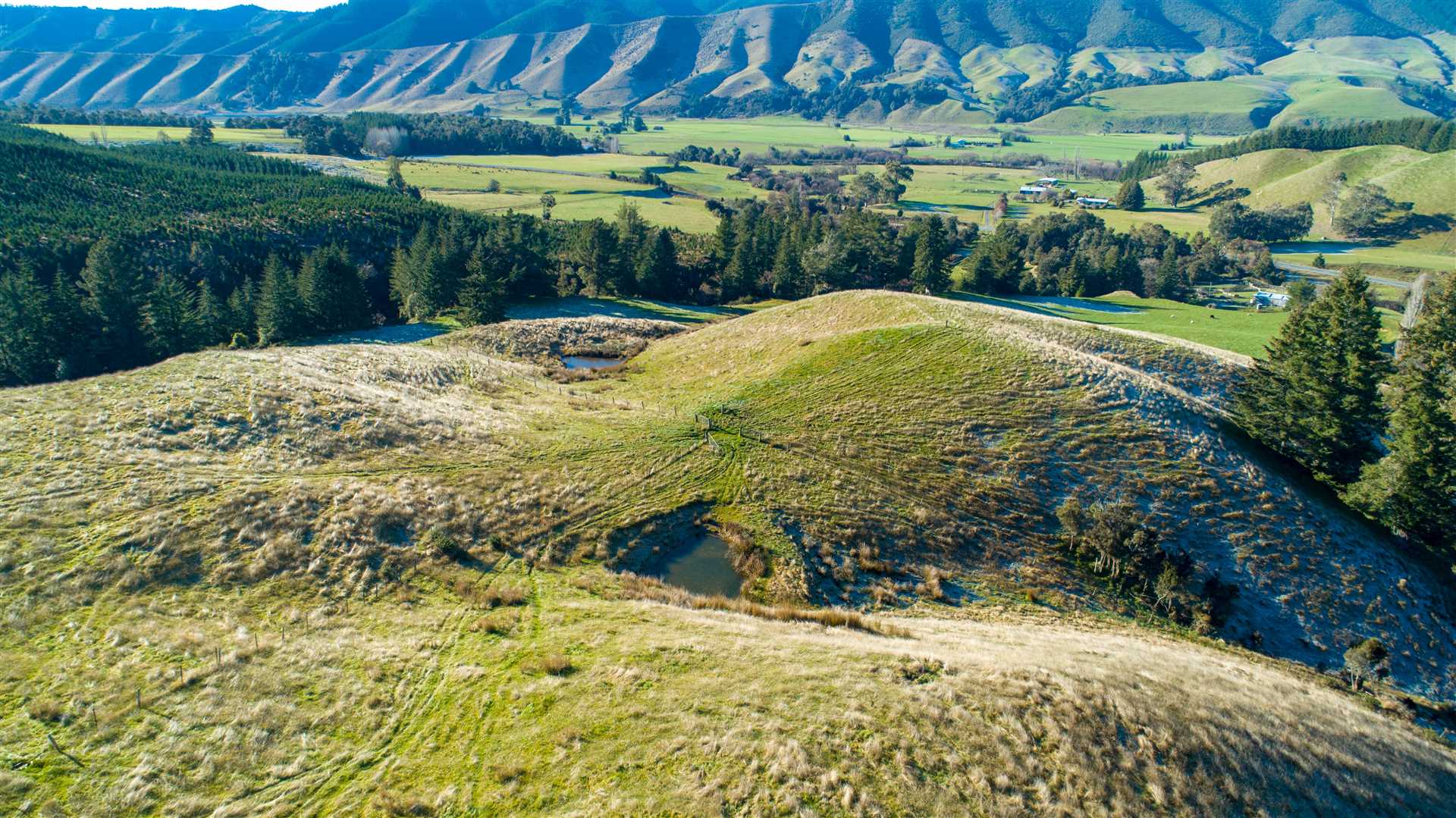 872-NN23767-Tasman-District.jpg