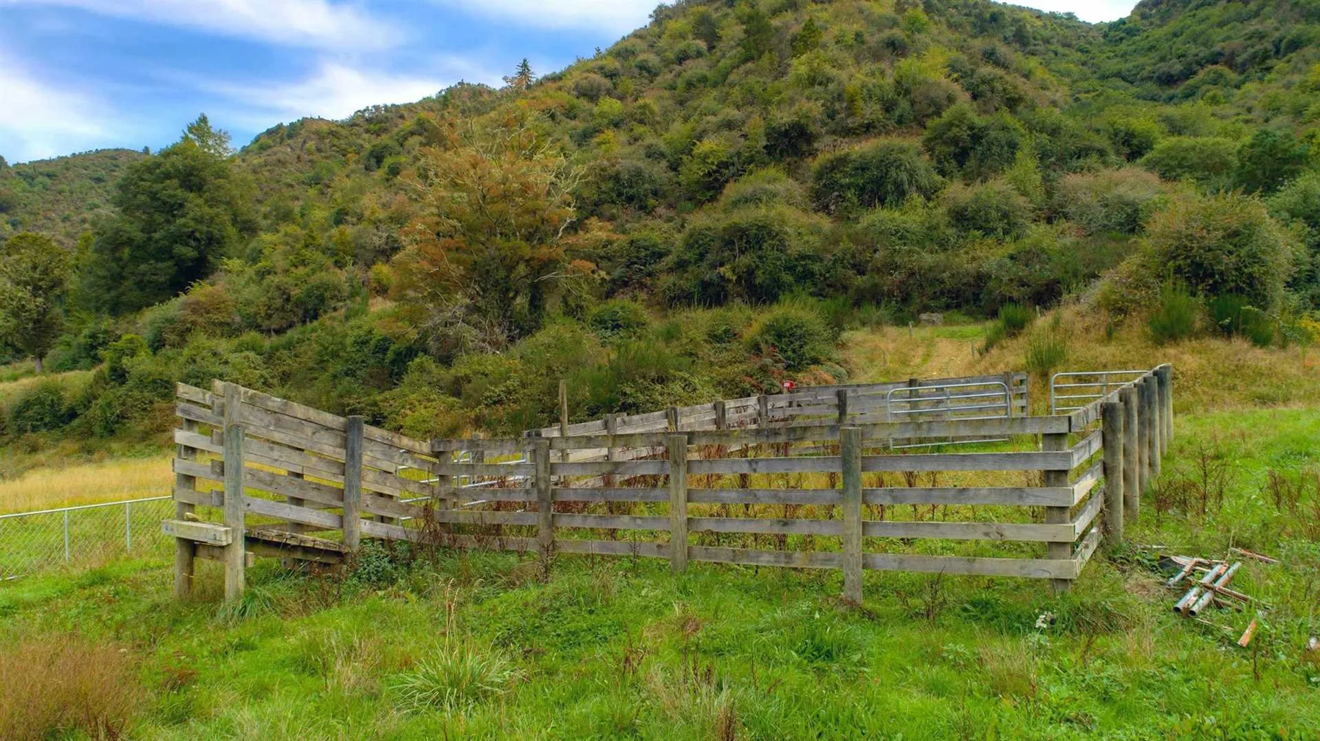 759-NN23599-Tasman-District.jpg