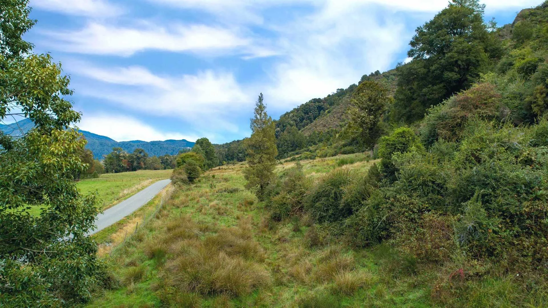 772-NN23599-Tasman-District.jpg