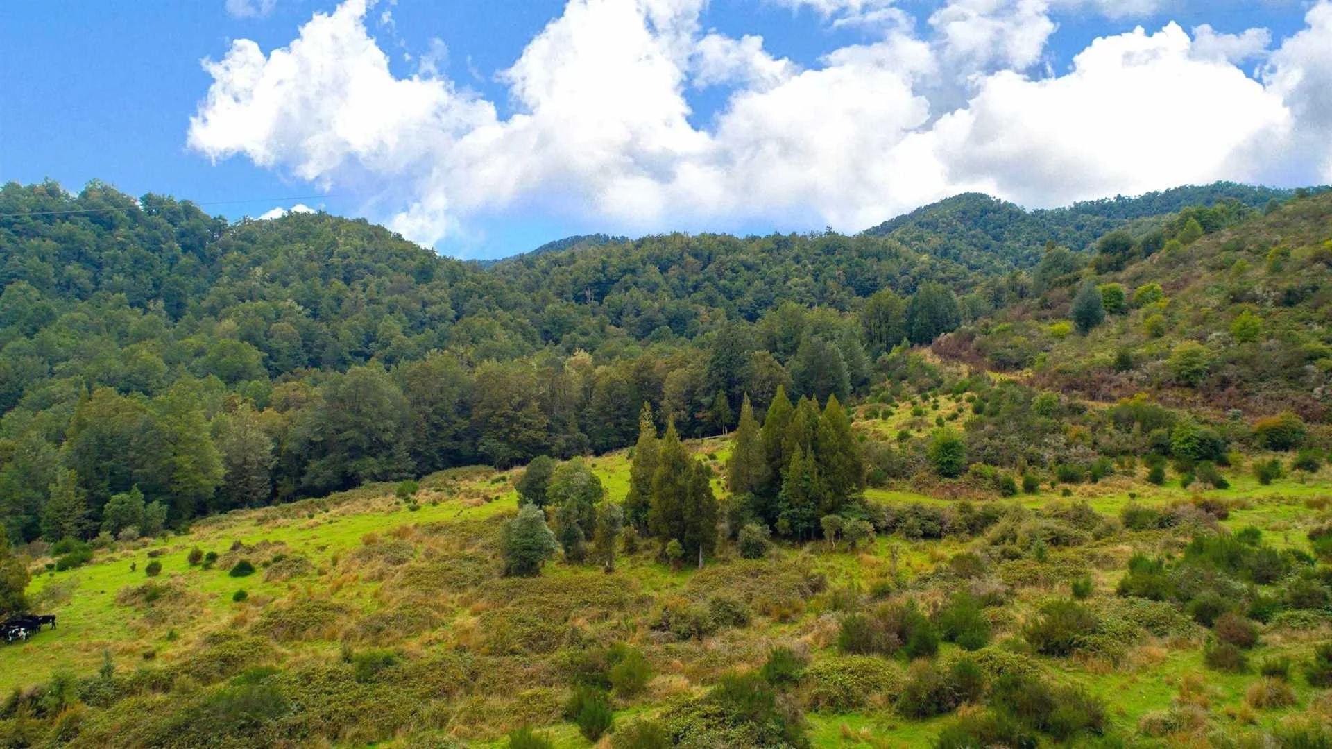 798-NN23599-Tasman-District.jpg