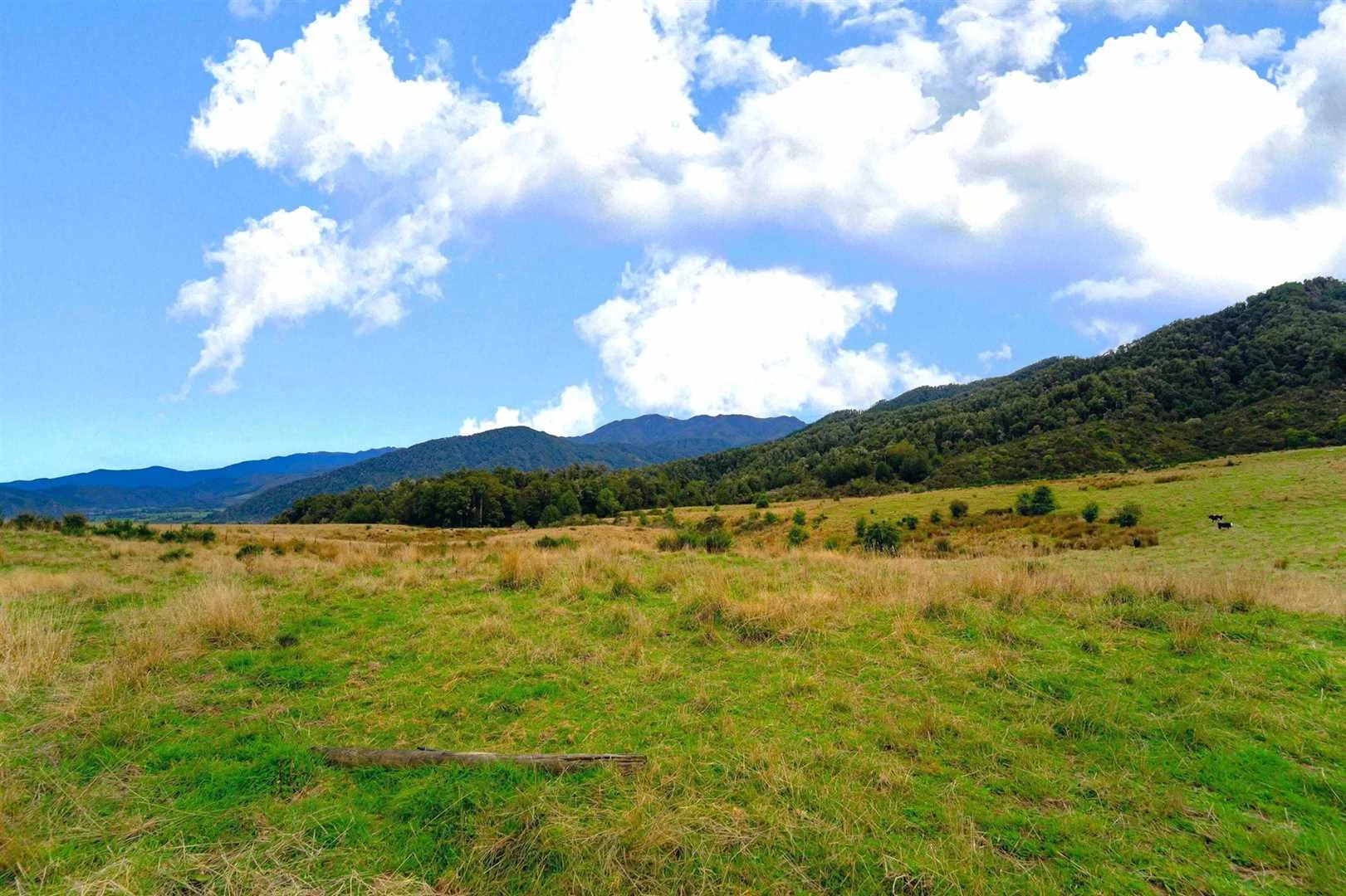 824-NN23599-Tasman-District.jpg