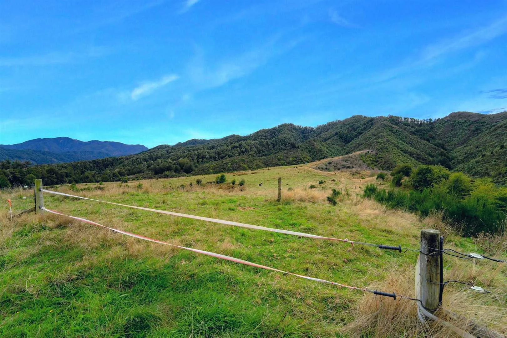 850-NN23599-Tasman-District.jpg