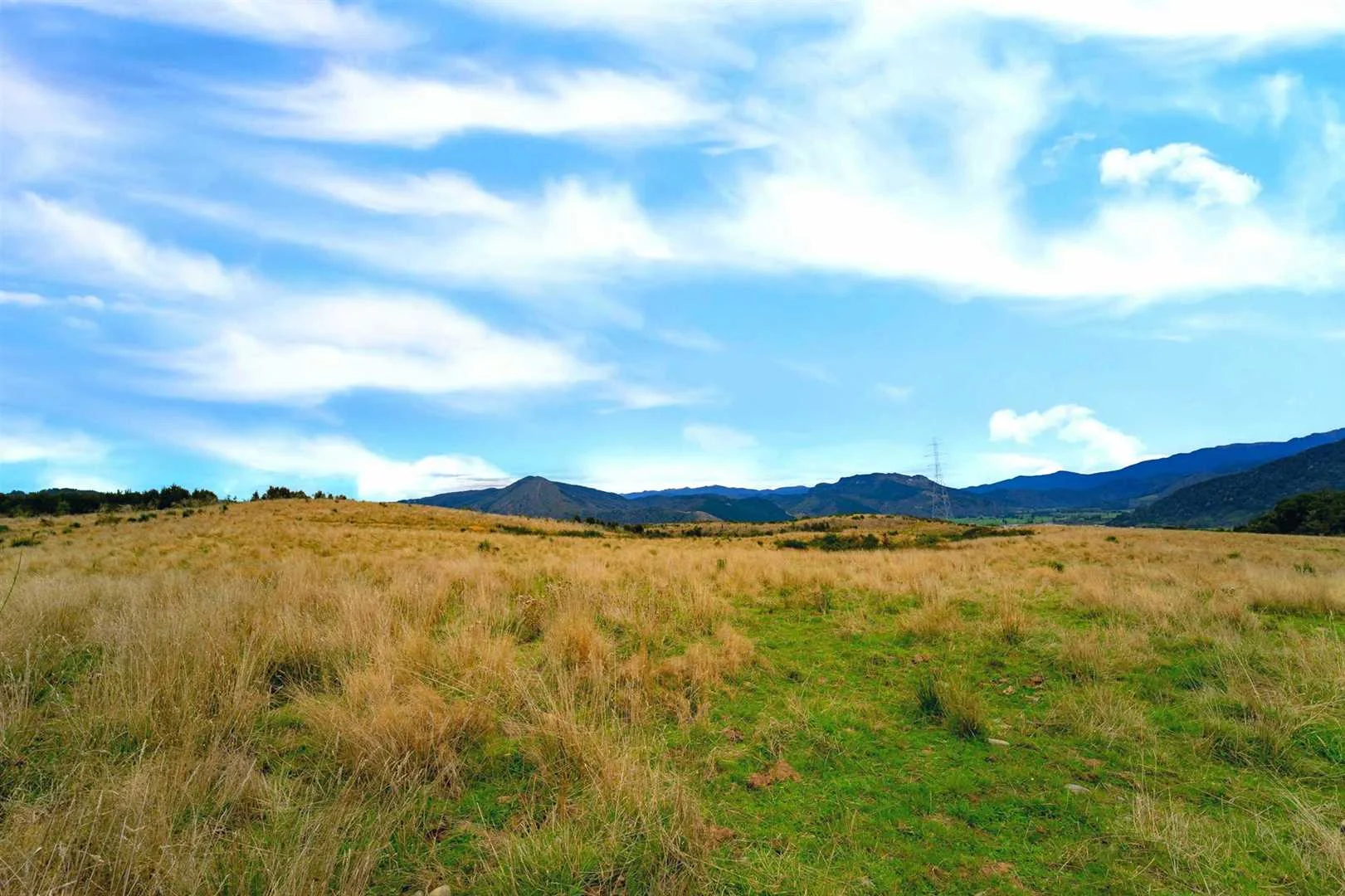 876-NN23599-Tasman-District.jpg