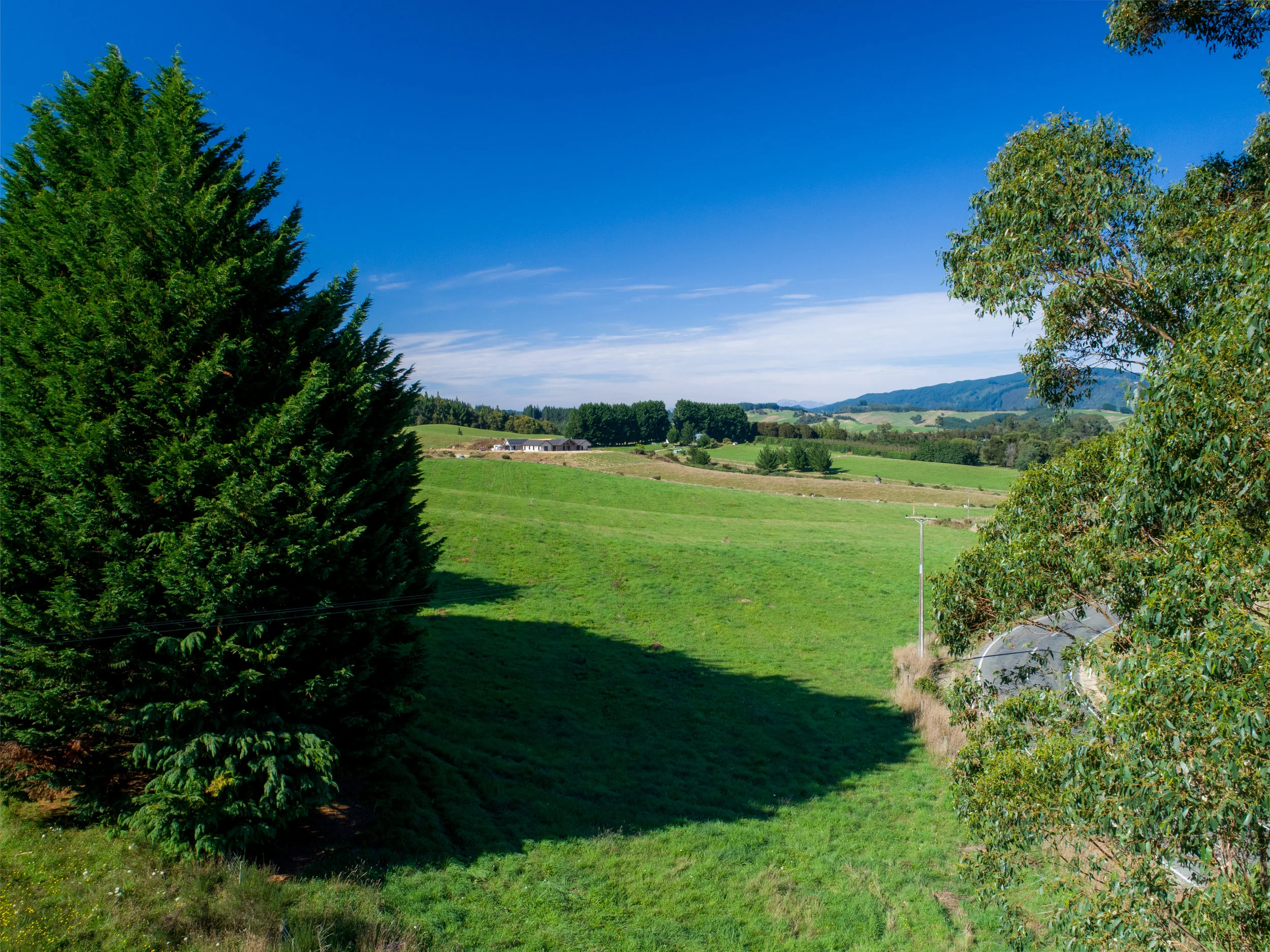 391Waiwherord-5.jpg