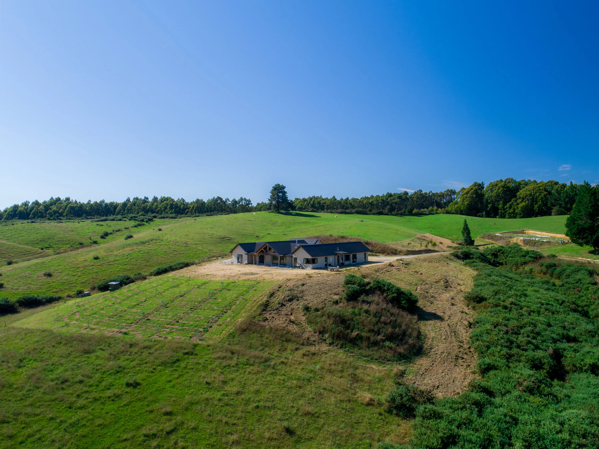 391Waiwherord-6.jpg