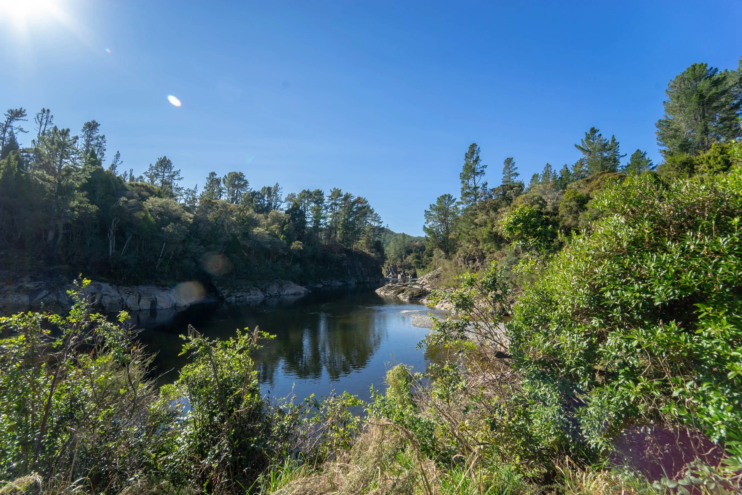 DSC09034.jpg