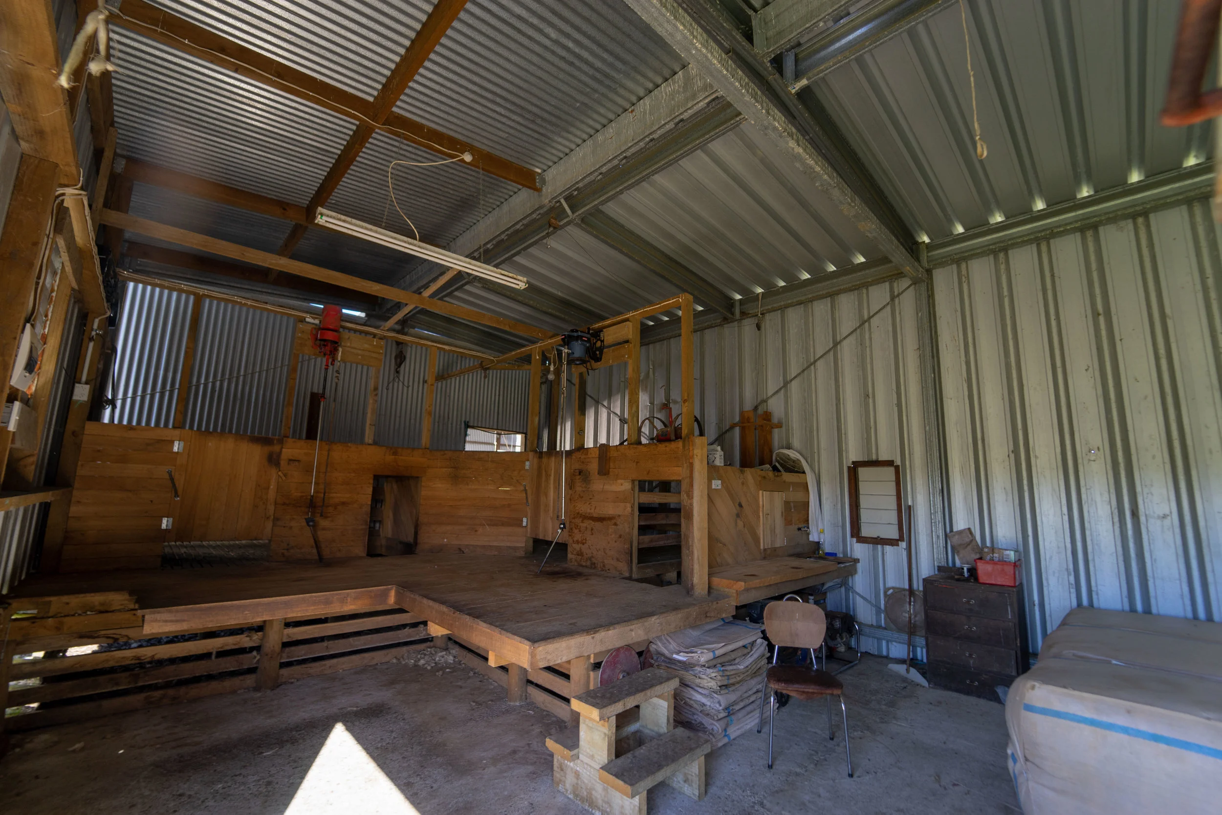 DSC09069.jpg