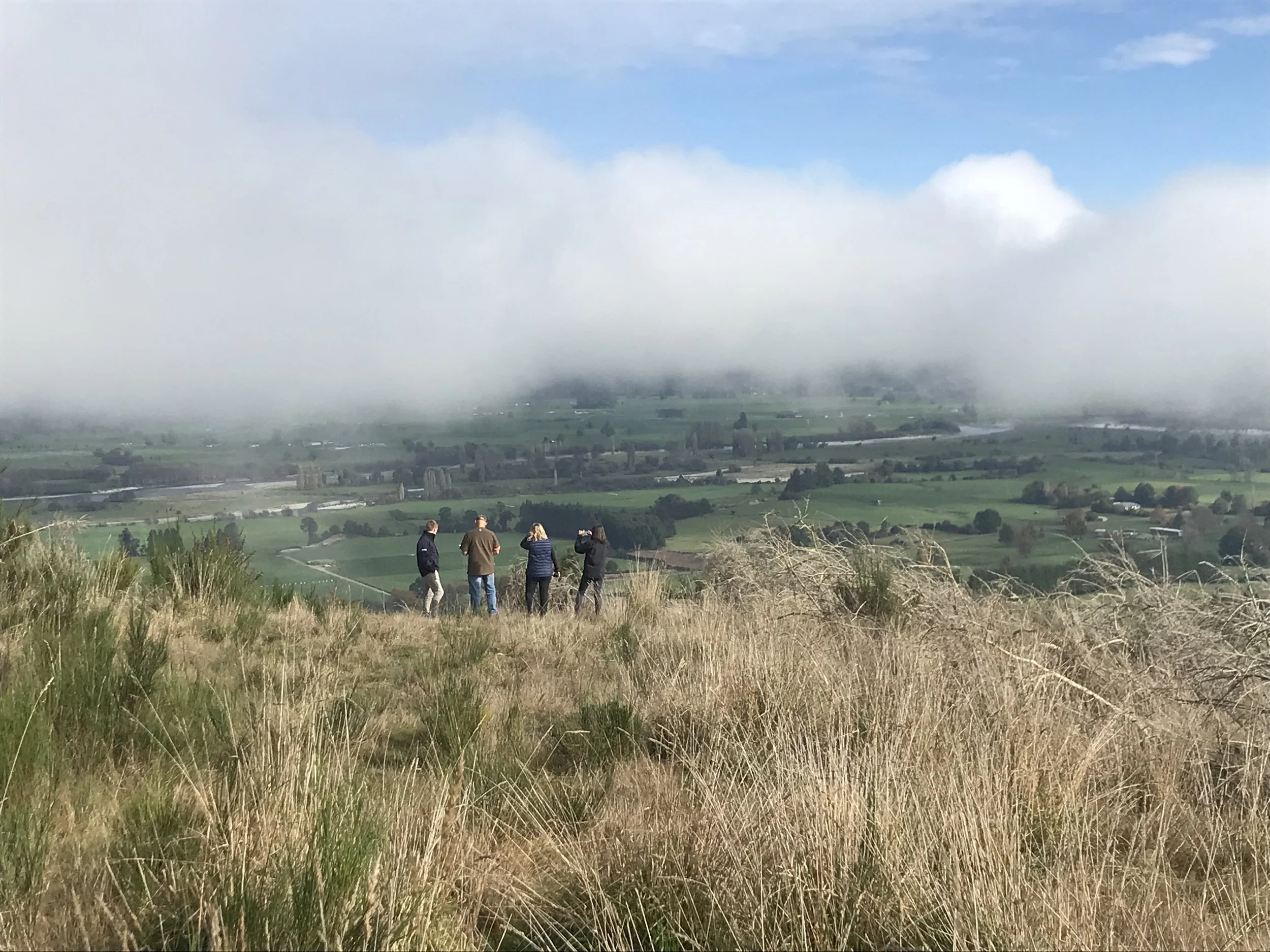 Matiri viewing.jpg
