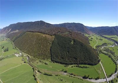0 mangles.jpg