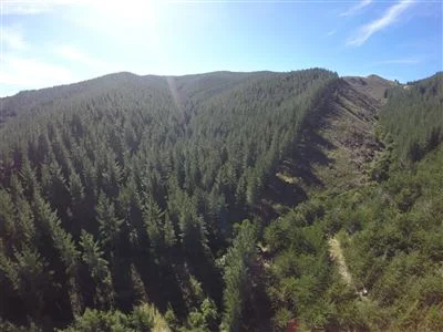 945 taylors pass.jpg