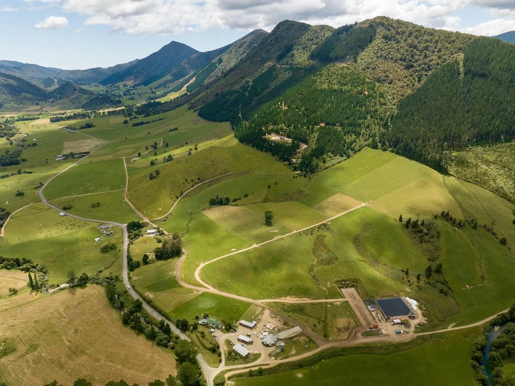 DJI_0918.jpg