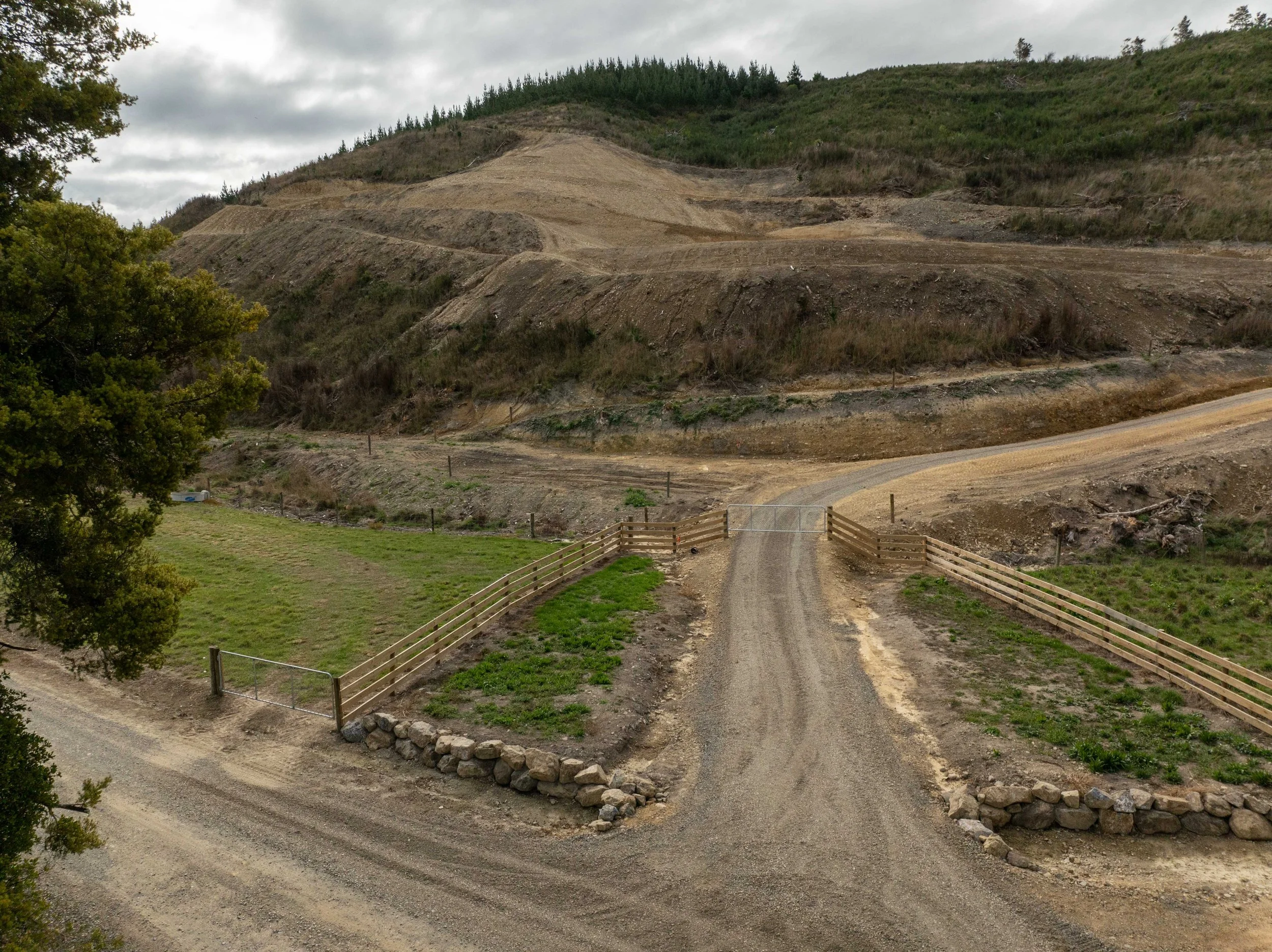 20240425-DJI_0663.jpg
