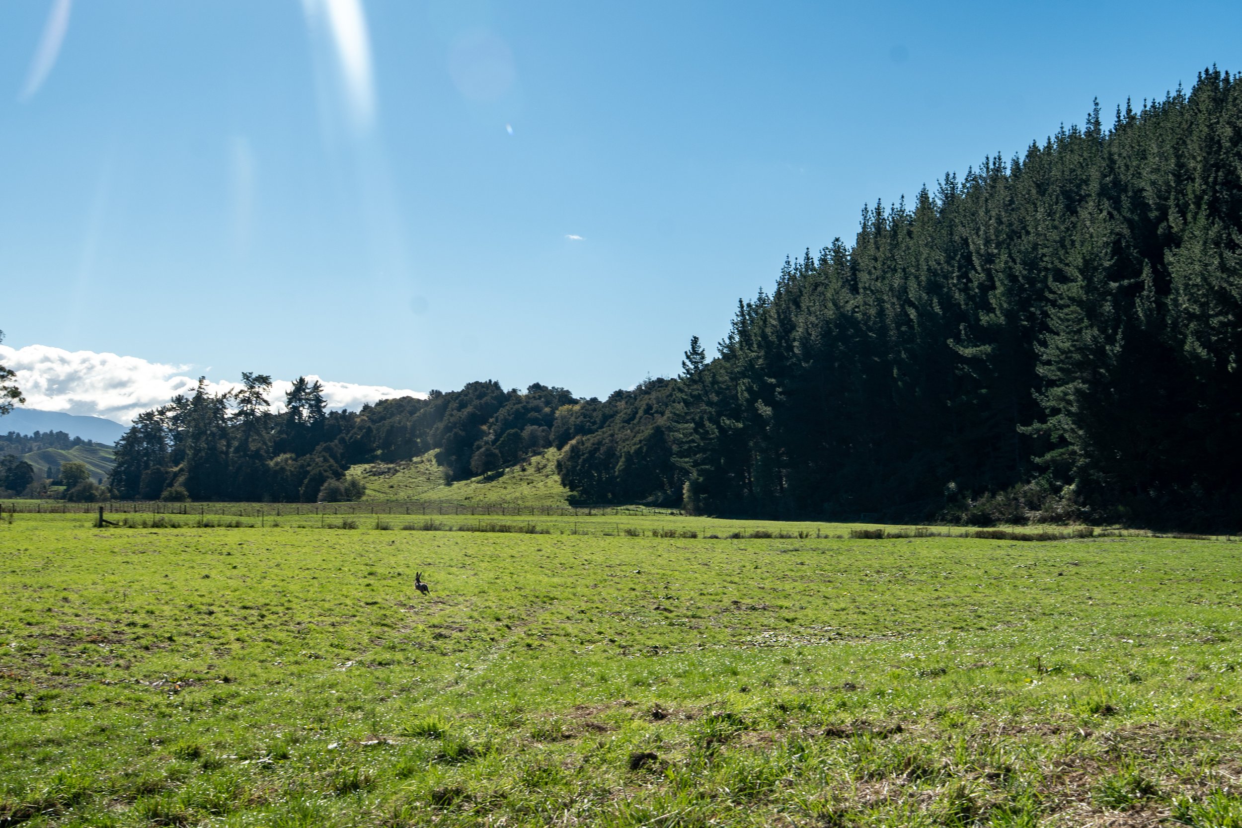 A7400941.jpg