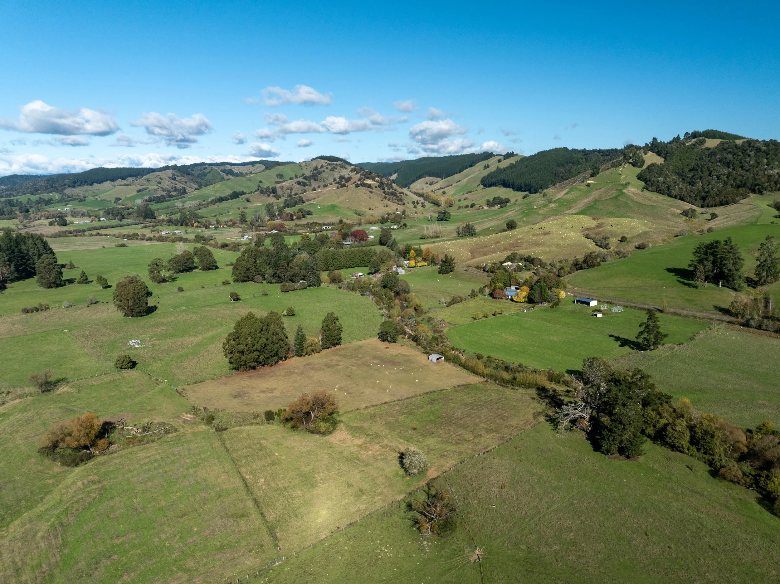 DJI_0349.jpg