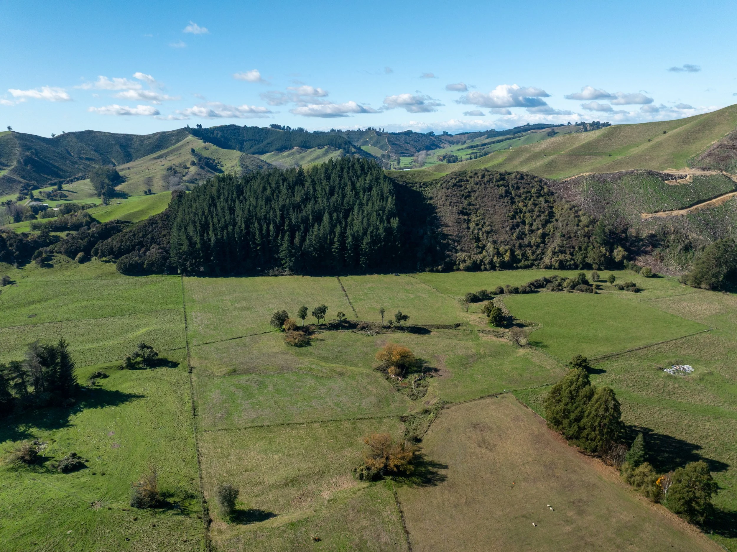 DJI_0367.jpg