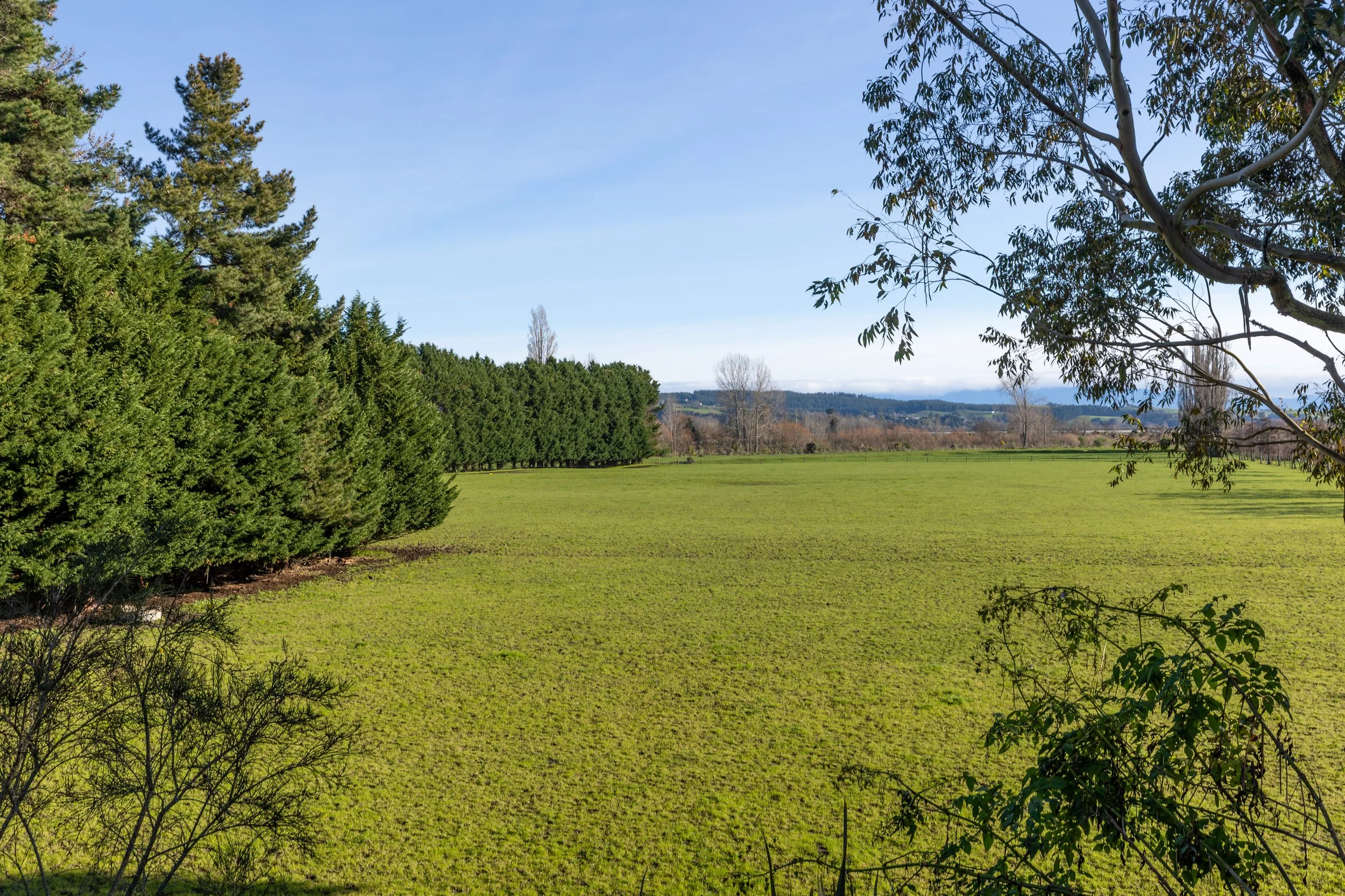 398 Pugh Rd-48.jpg