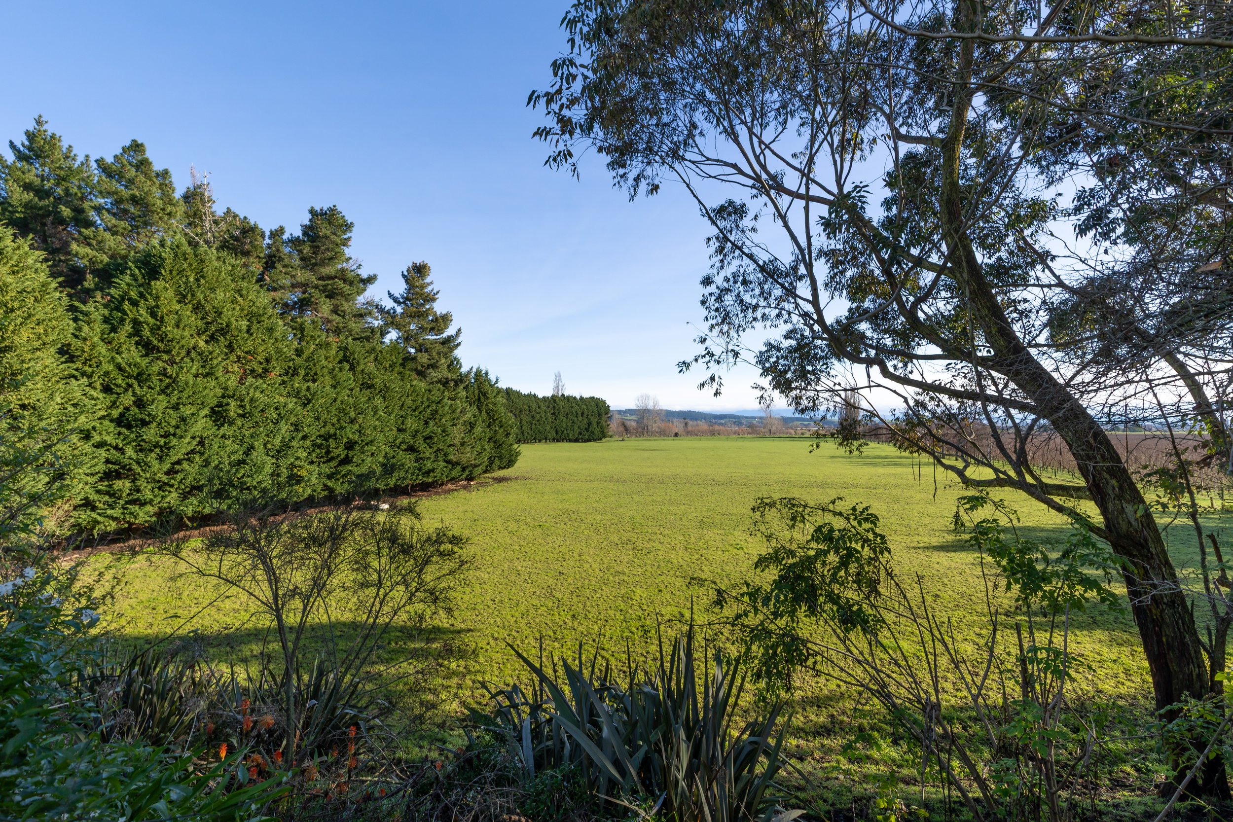 398 Pugh Rd-49.jpg