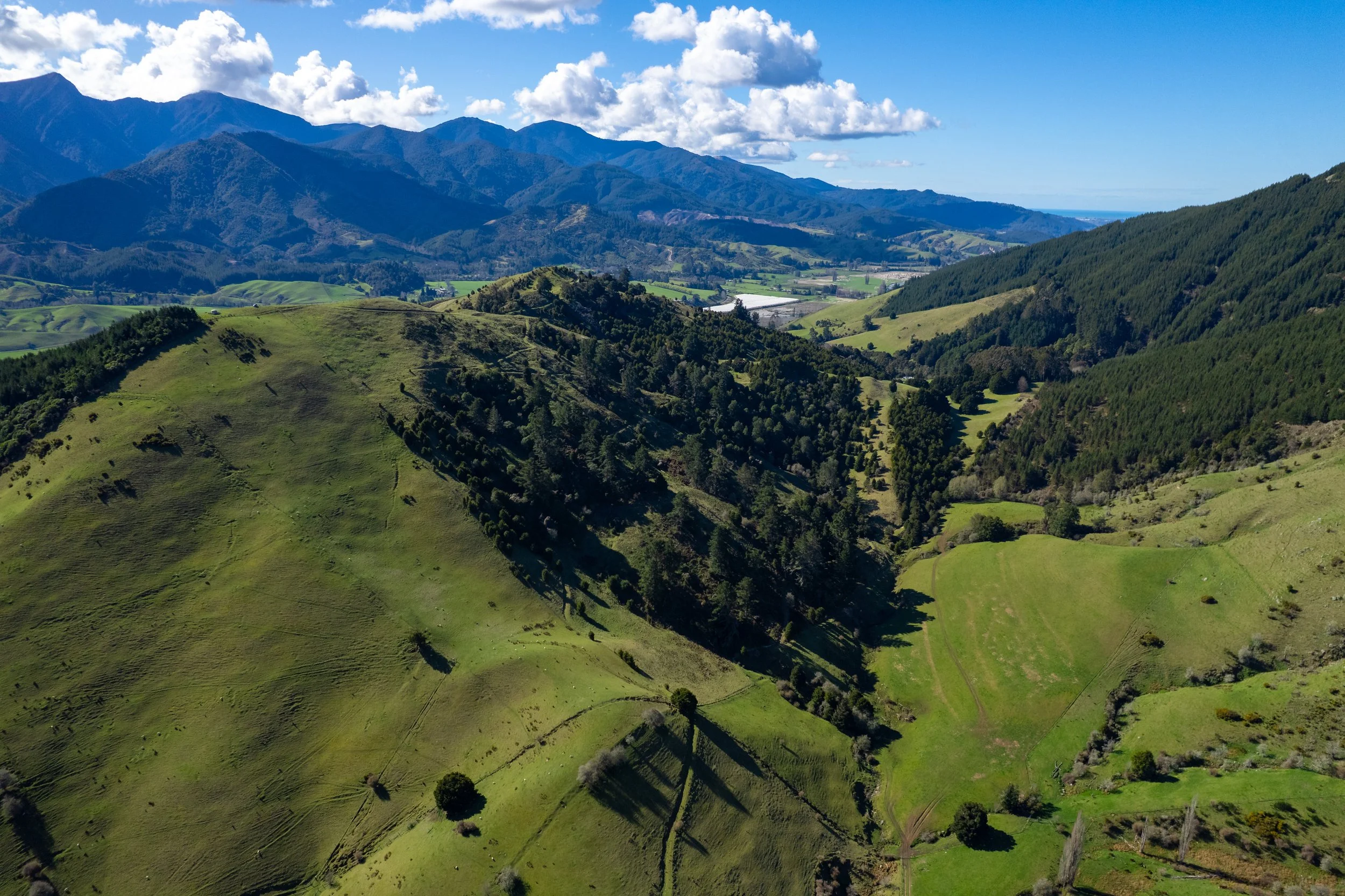 1809 Motueka Valley (2 of 69).jpg
