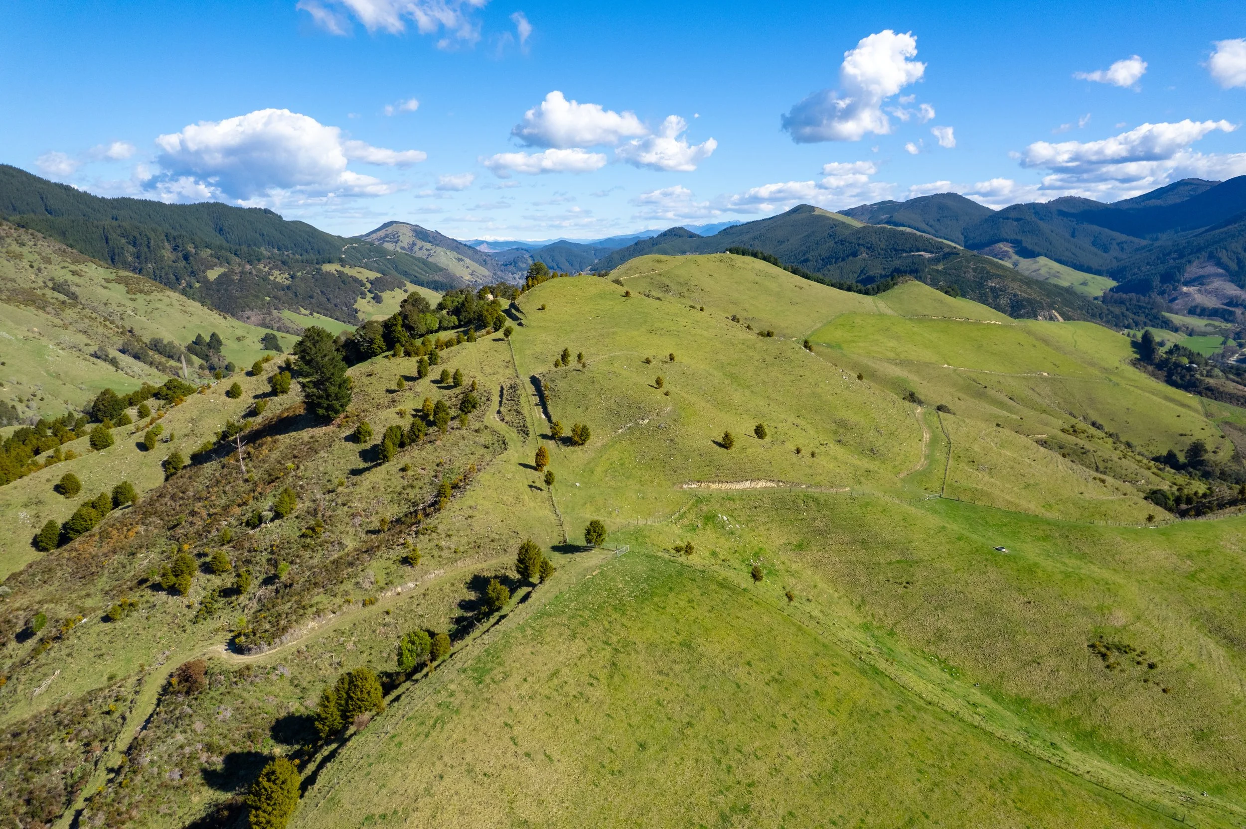 1809 Motueka Valley (8 of 69).jpg