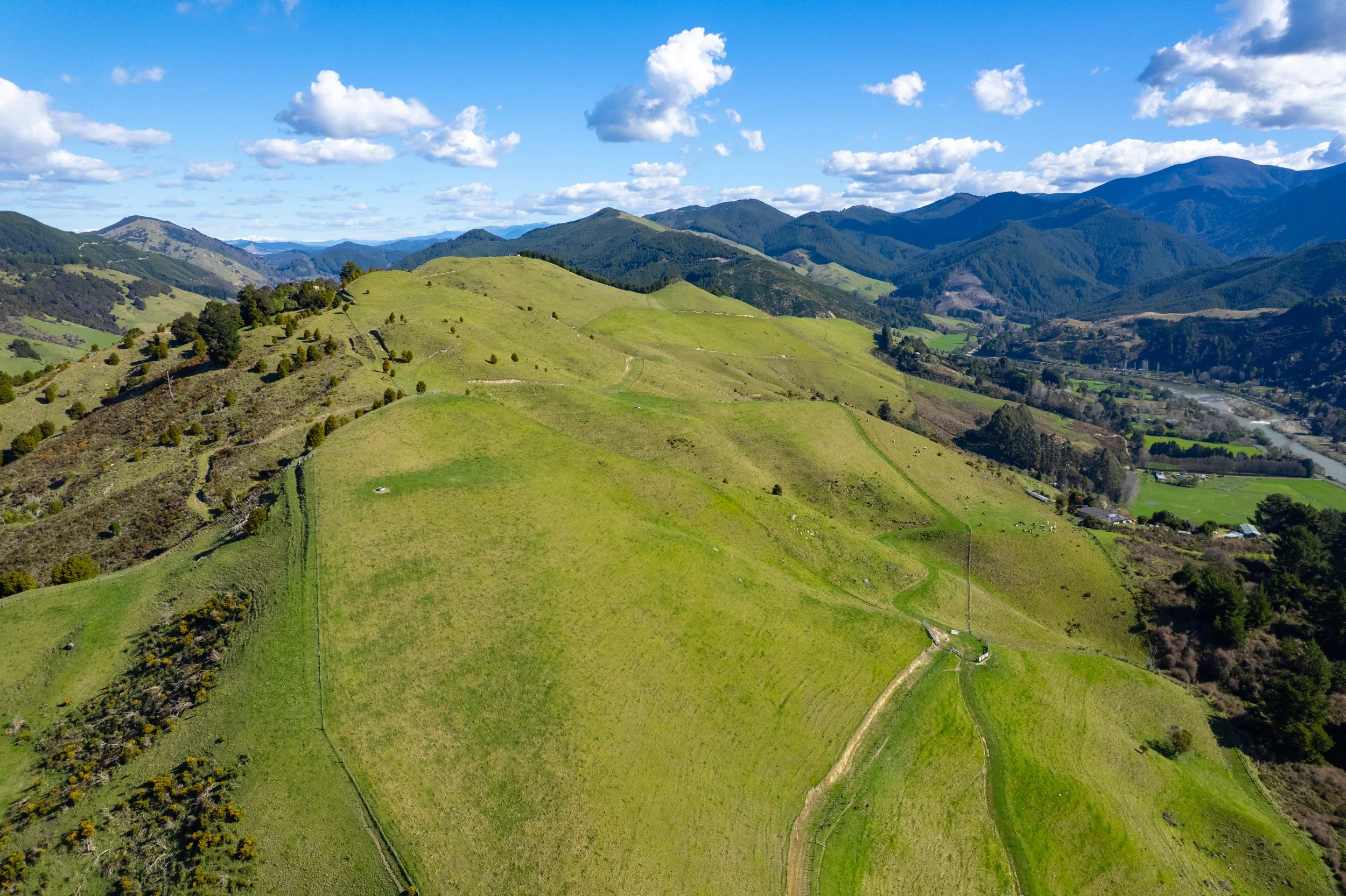 1809 Motueka Valley (10 of 69).jpg
