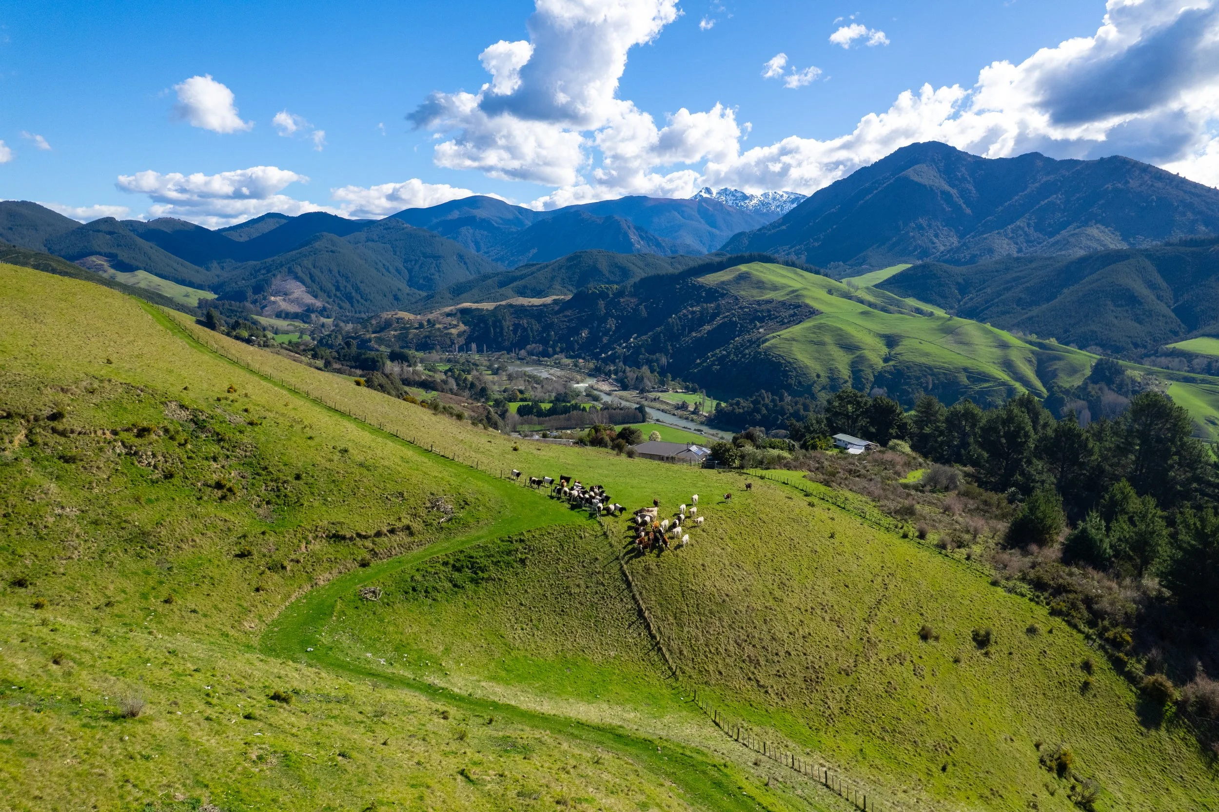 1809 Motueka Valley (13 of 69).jpg