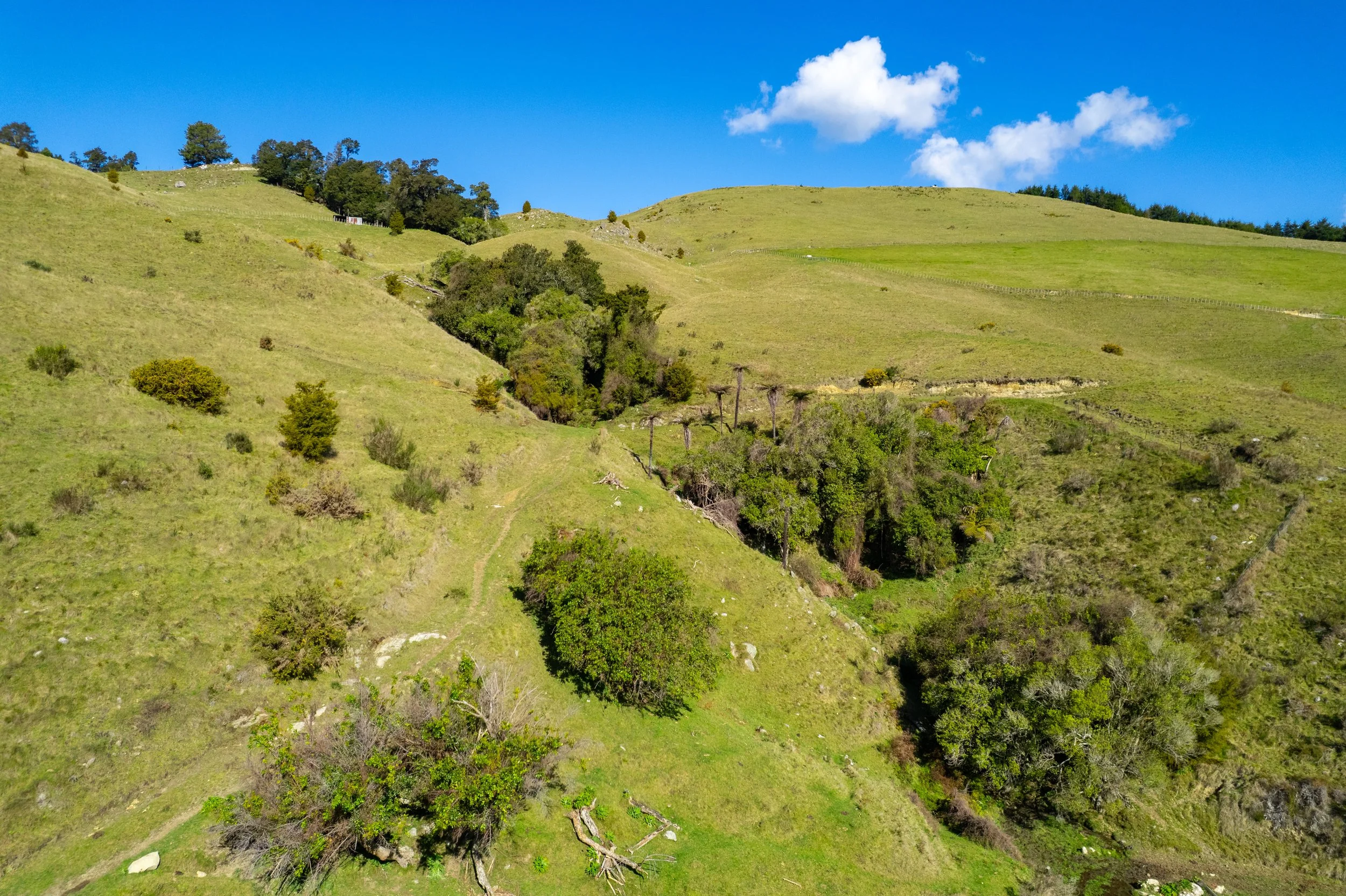 1809 Motueka Valley (15 of 69).jpg