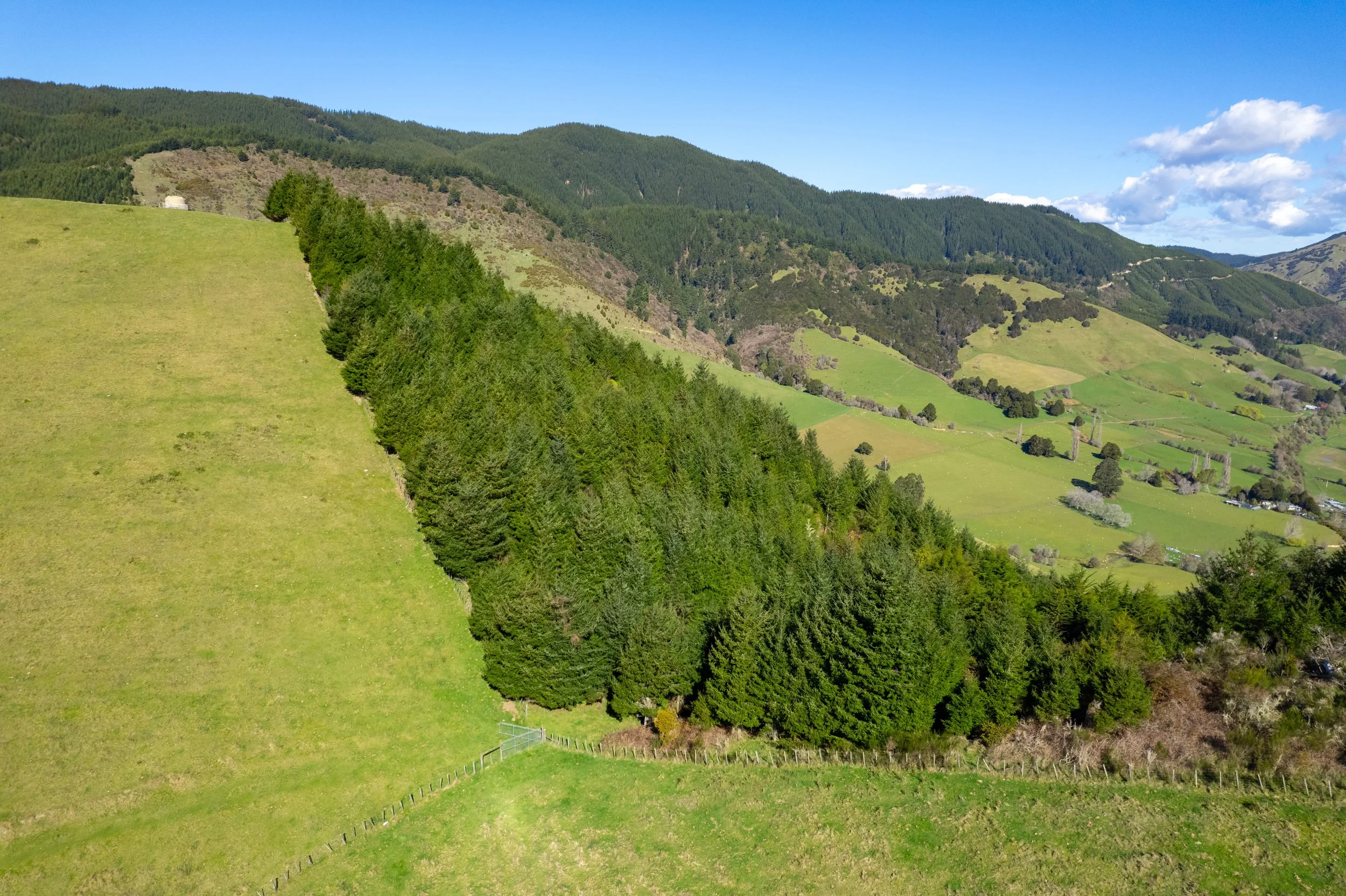 1809 Motueka Valley (17 of 69).jpg