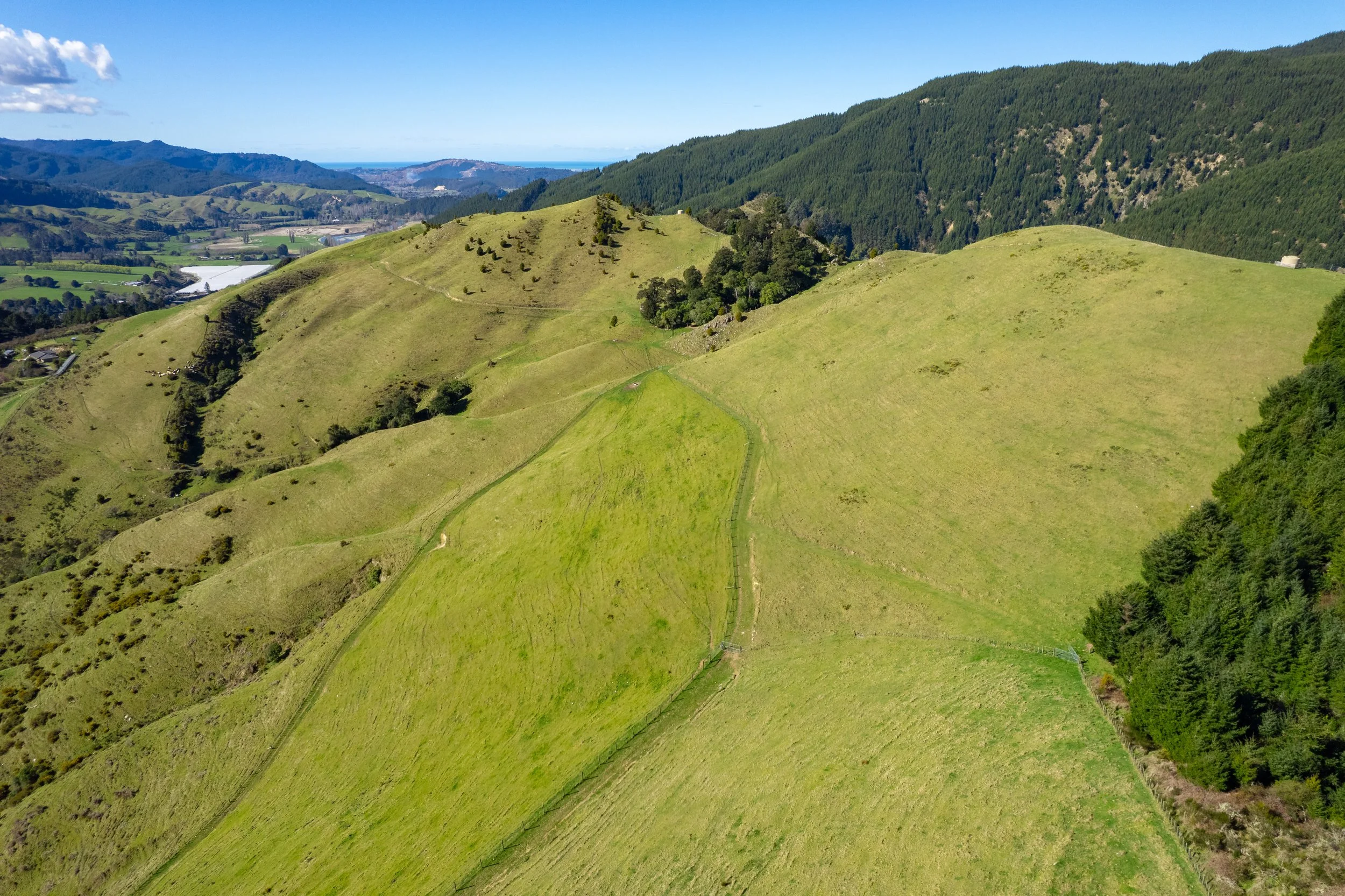 1809 Motueka Valley (18 of 69).jpg