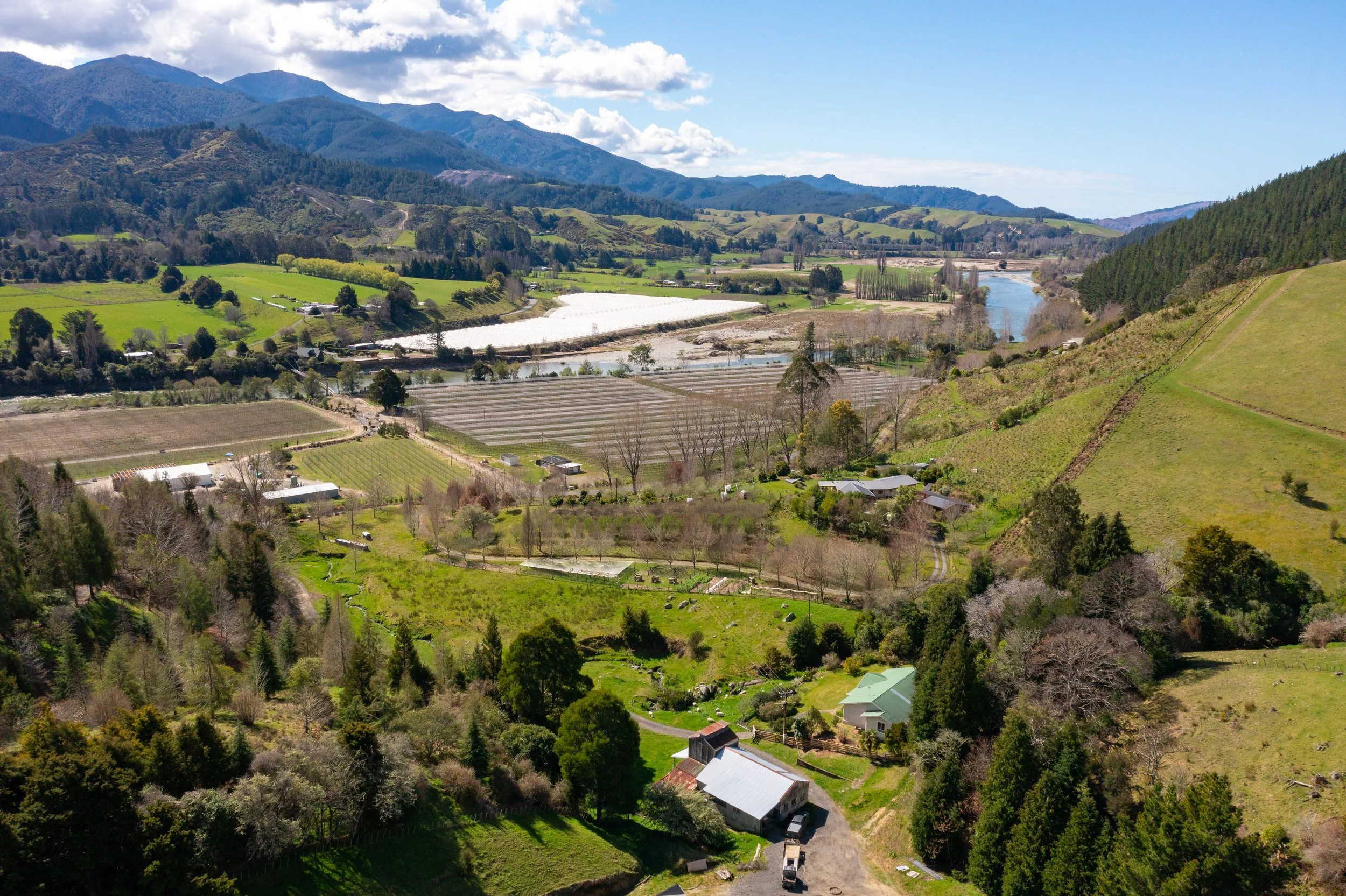 1809 Motueka Valley (19 of 69).jpg