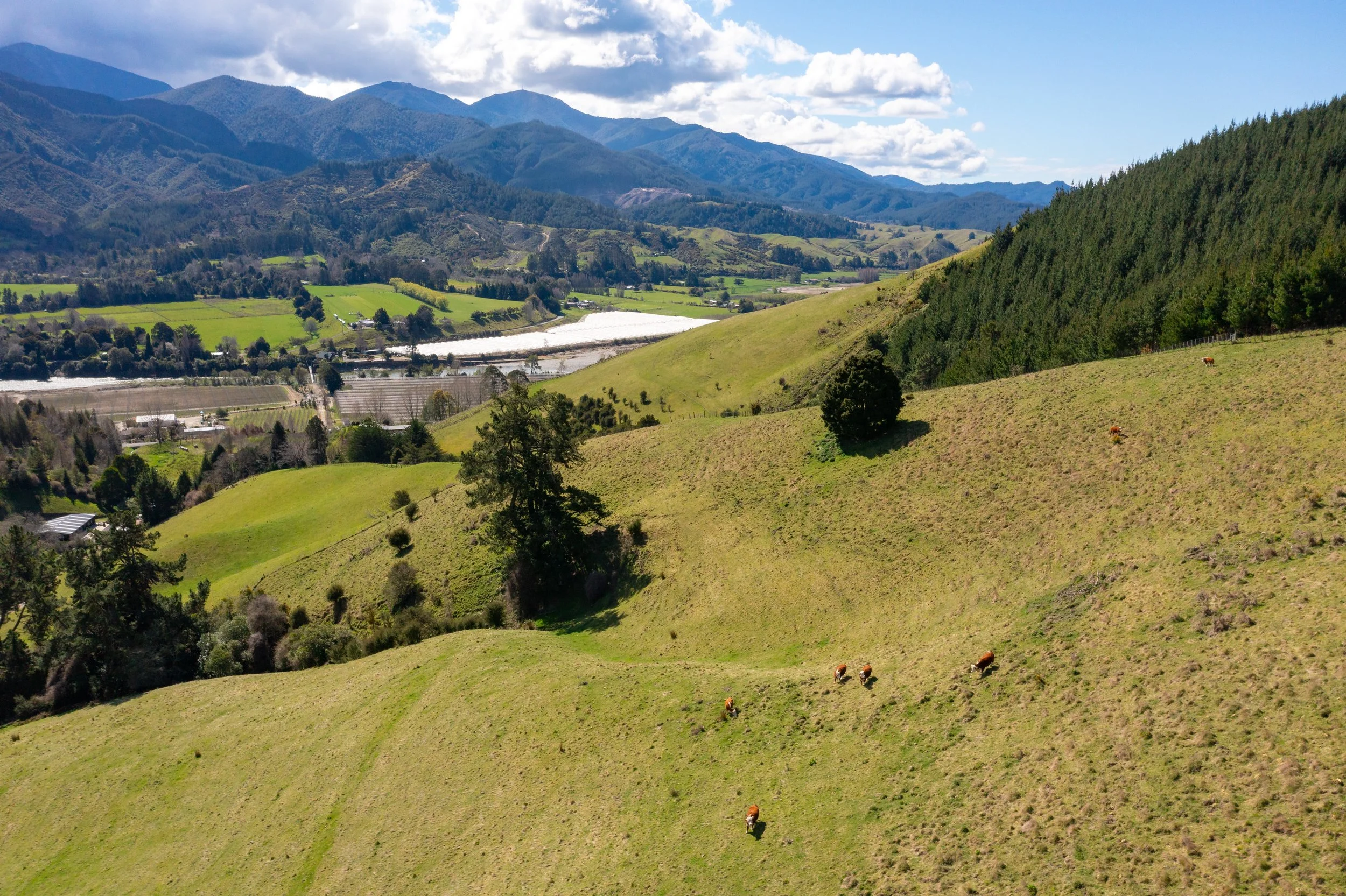 1809 Motueka Valley (28 of 69).jpg