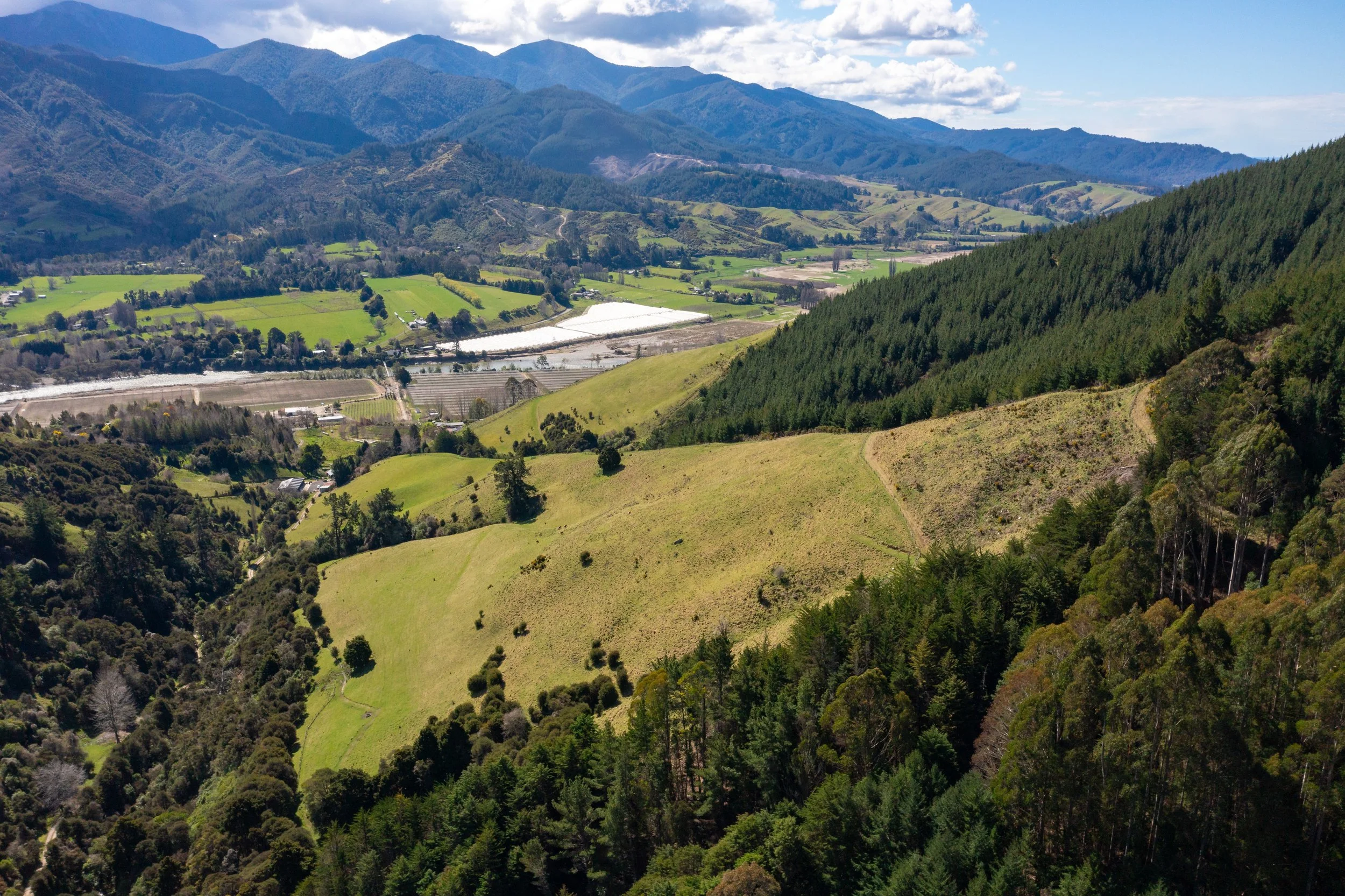 1809 Motueka Valley (30 of 69).jpg