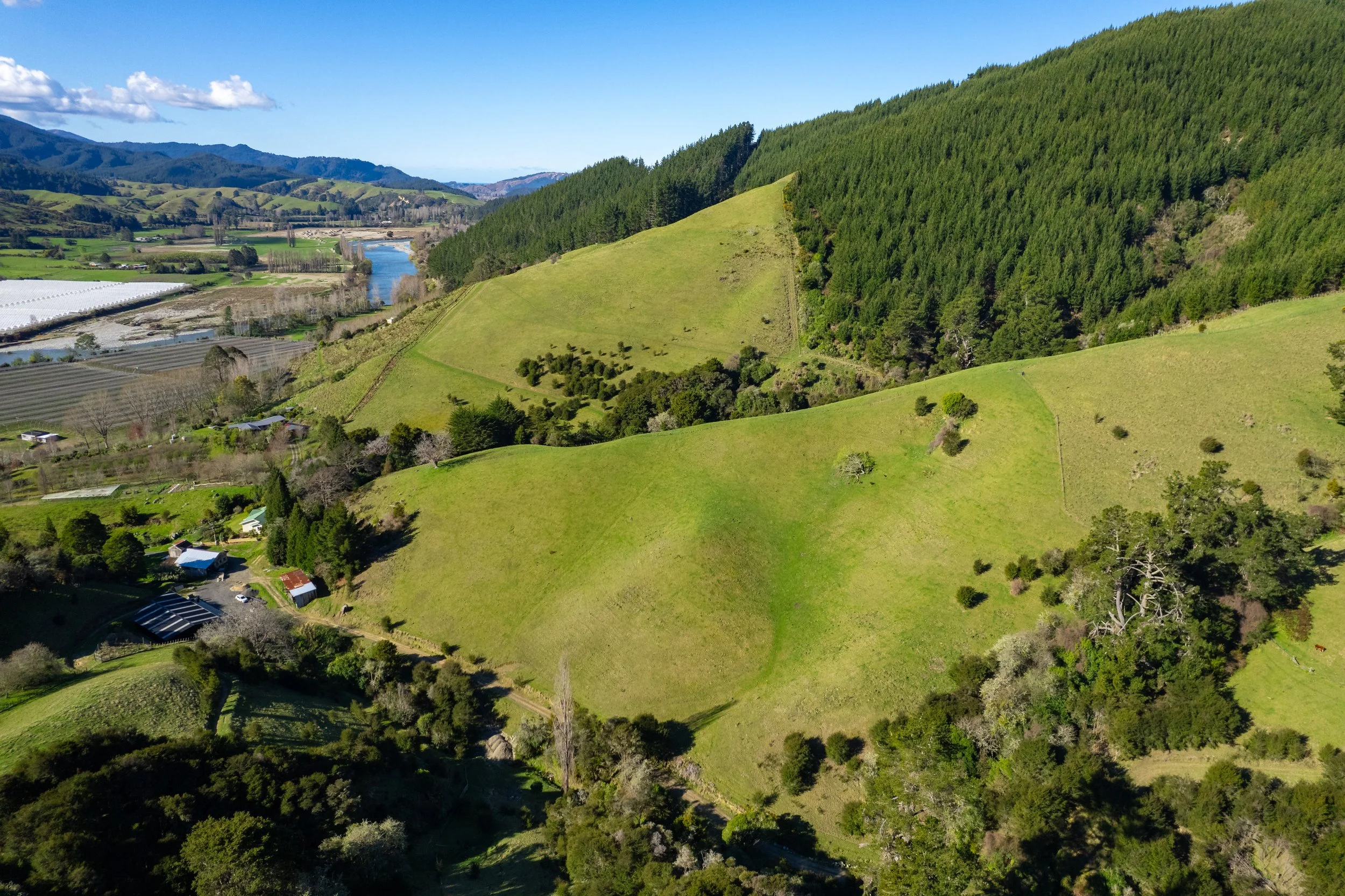 1809 Motueka Valley (31 of 69).jpg