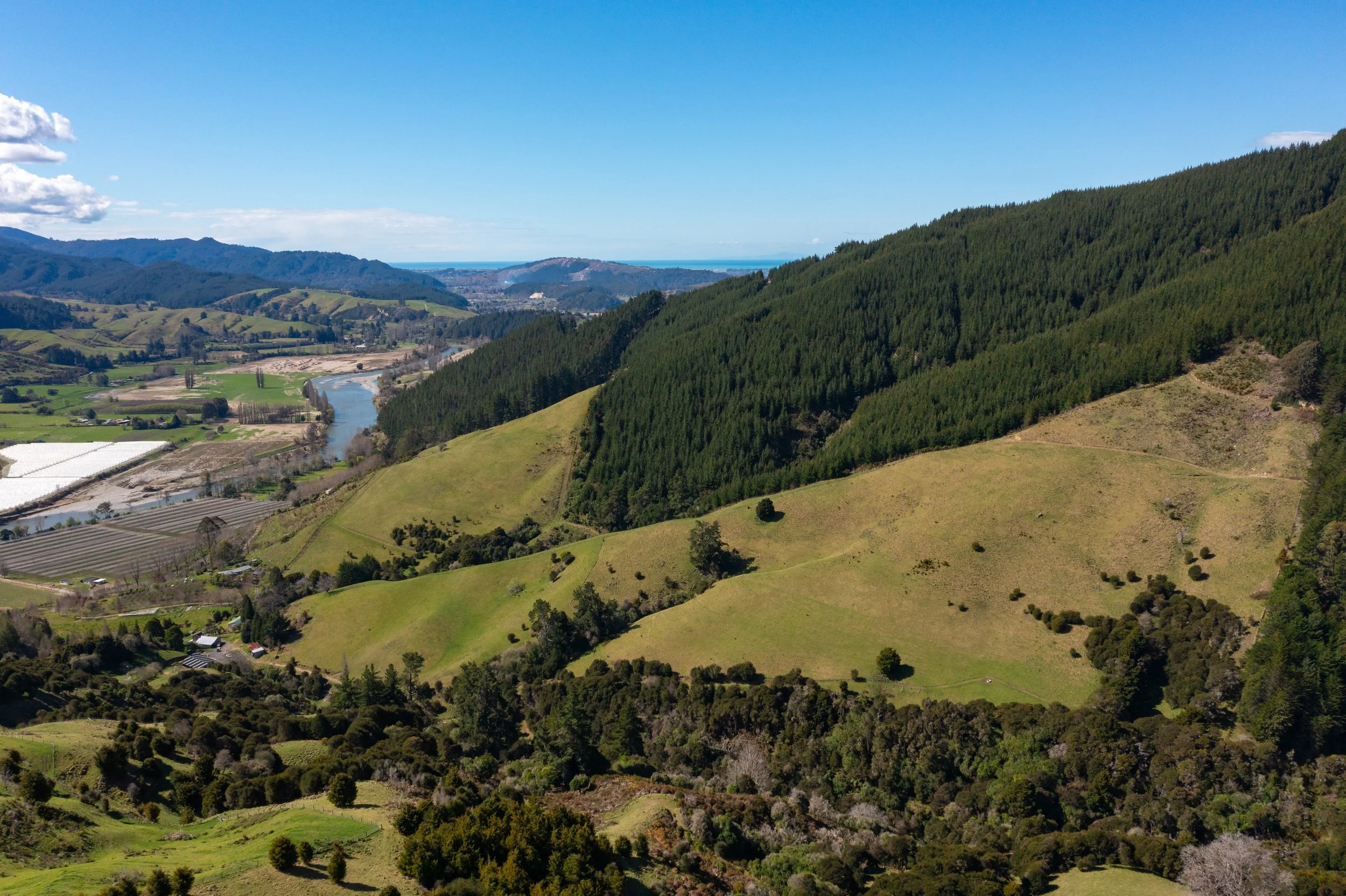 1809 Motueka Valley (32 of 69).jpg